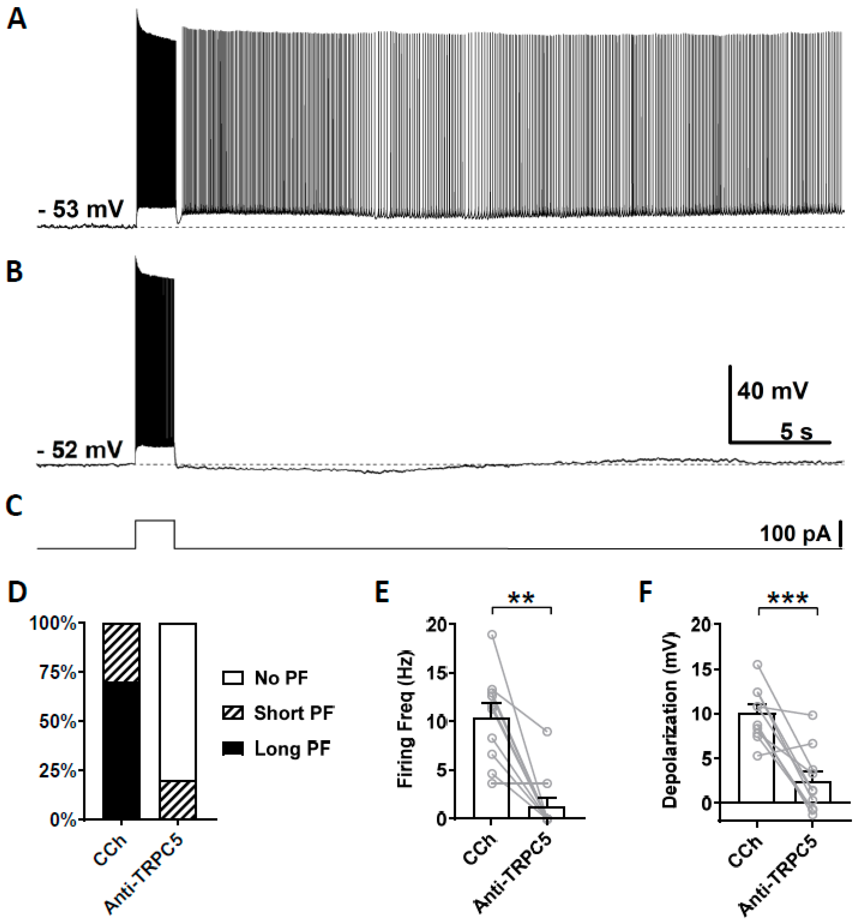 Cells 09 00365 g007