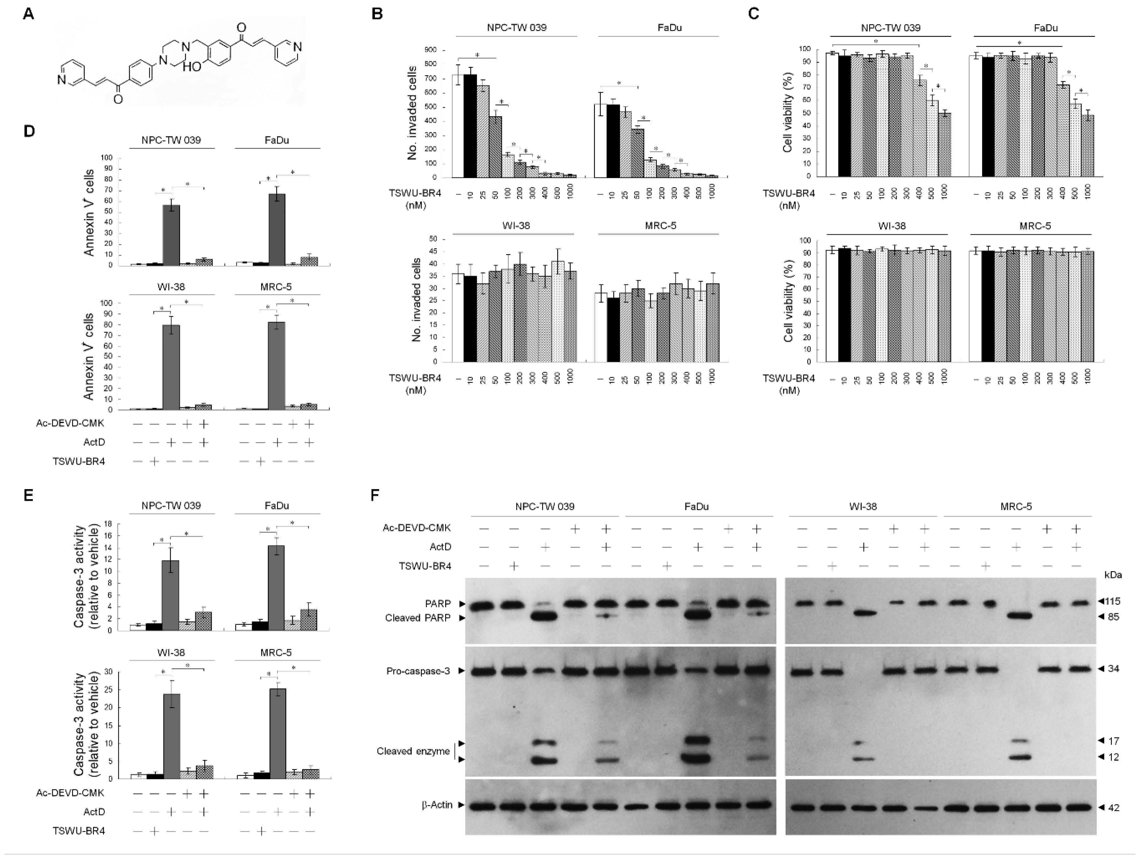 Cells 09 00371 g001 Cells 09 00371 g001
