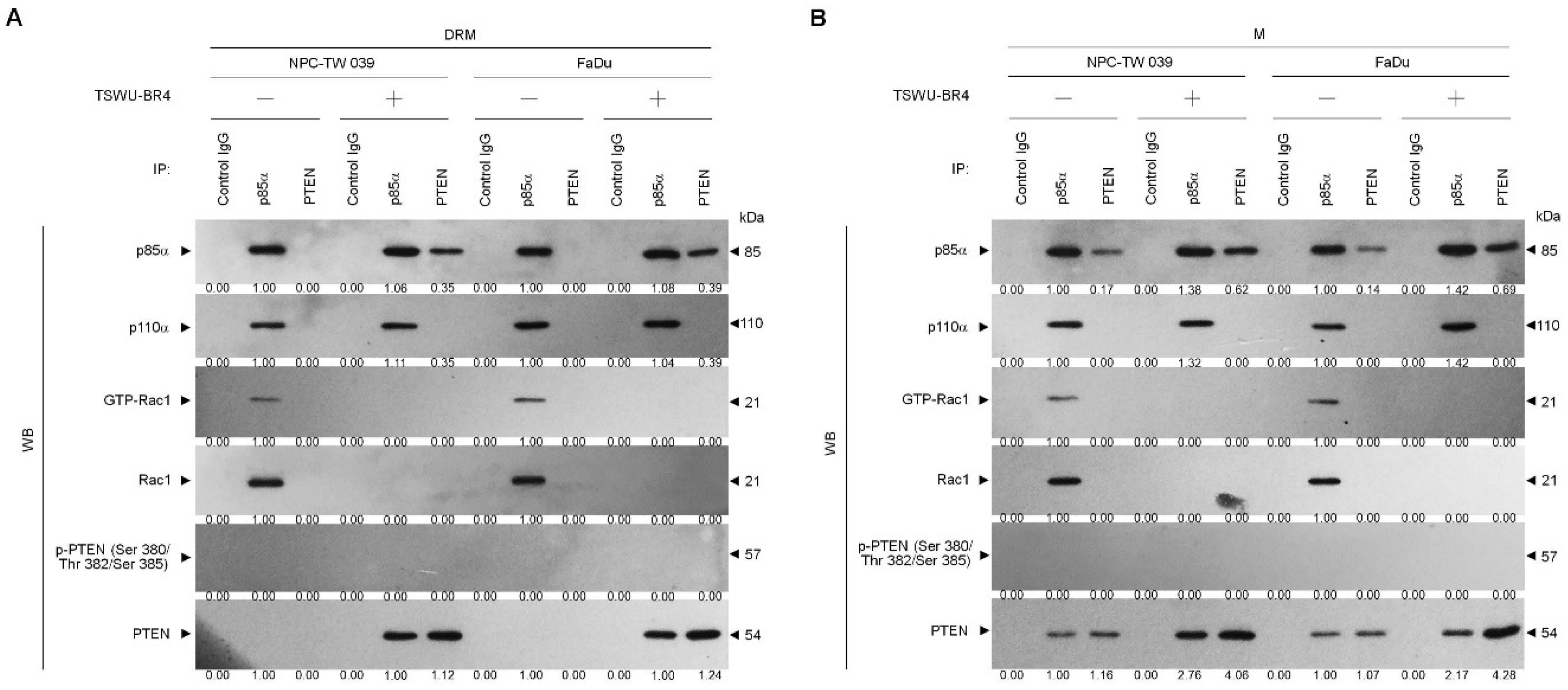 Cells 09 00371 g003 Cells 09 00371 g003