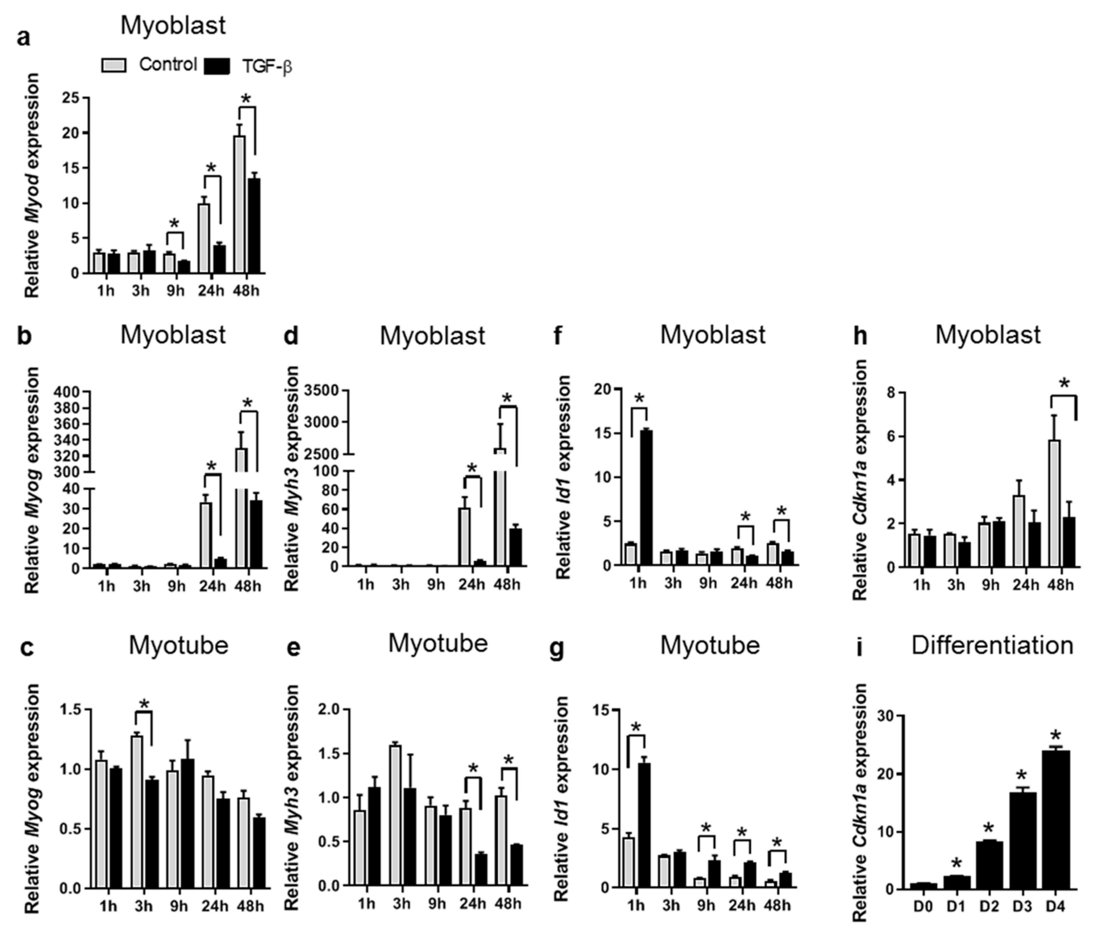 Cells 09 00375 g002 Cells 09 00375 g002
