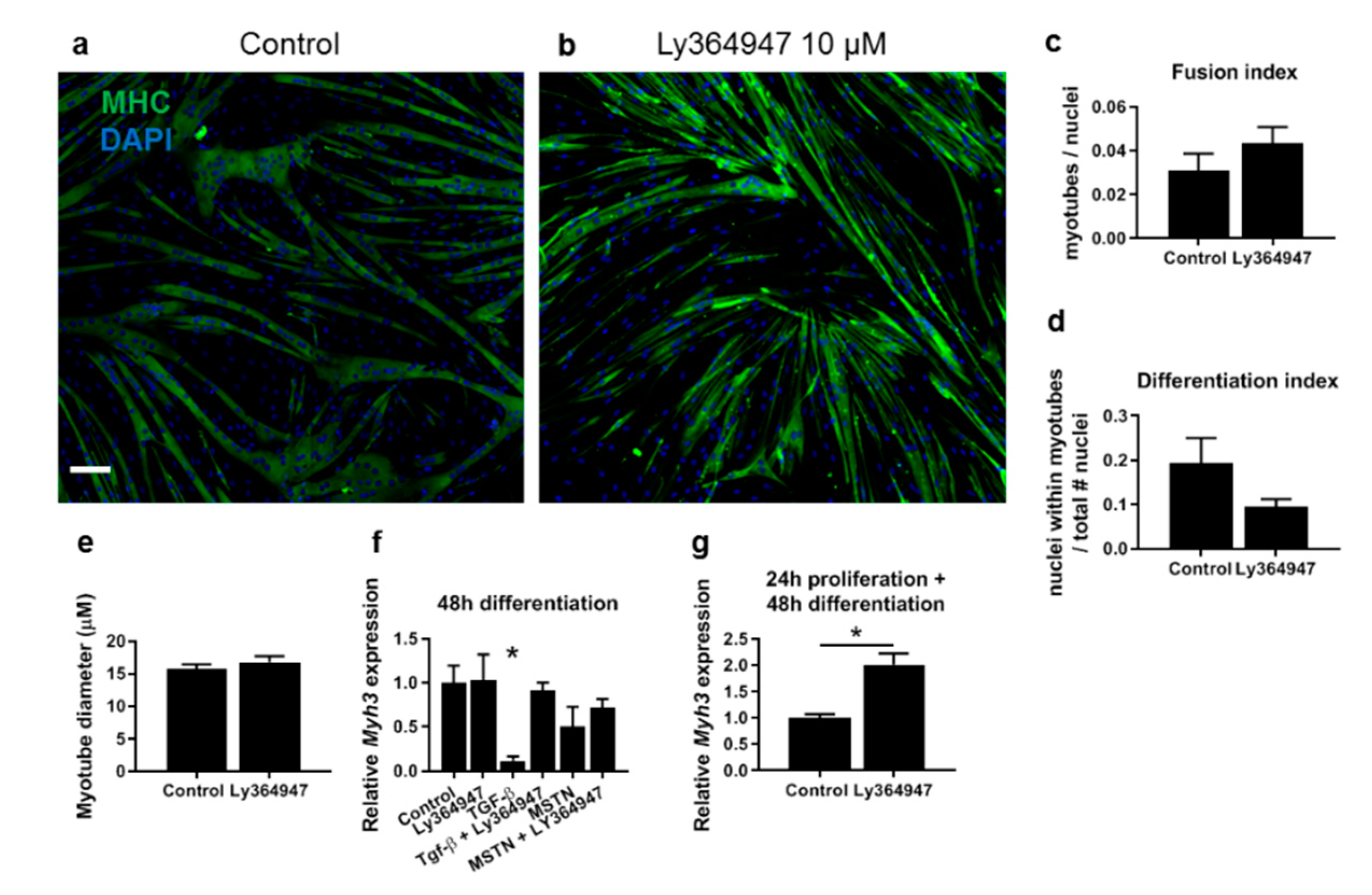 Cells 09 00375 g006 Cells 09 00375 g006