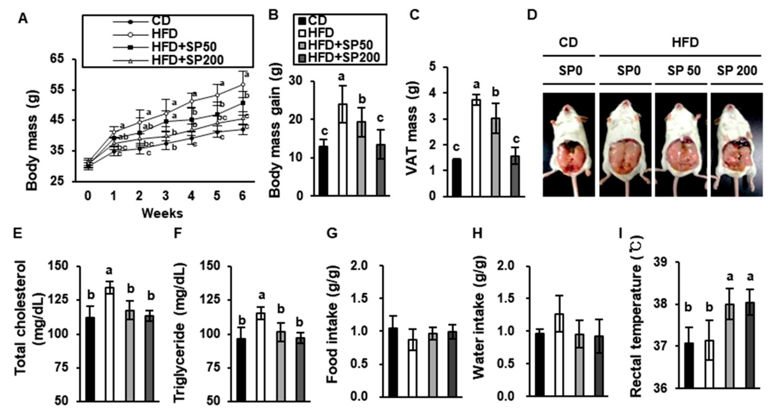 Cells 09 00377 g001 Cells 09 00377 g001