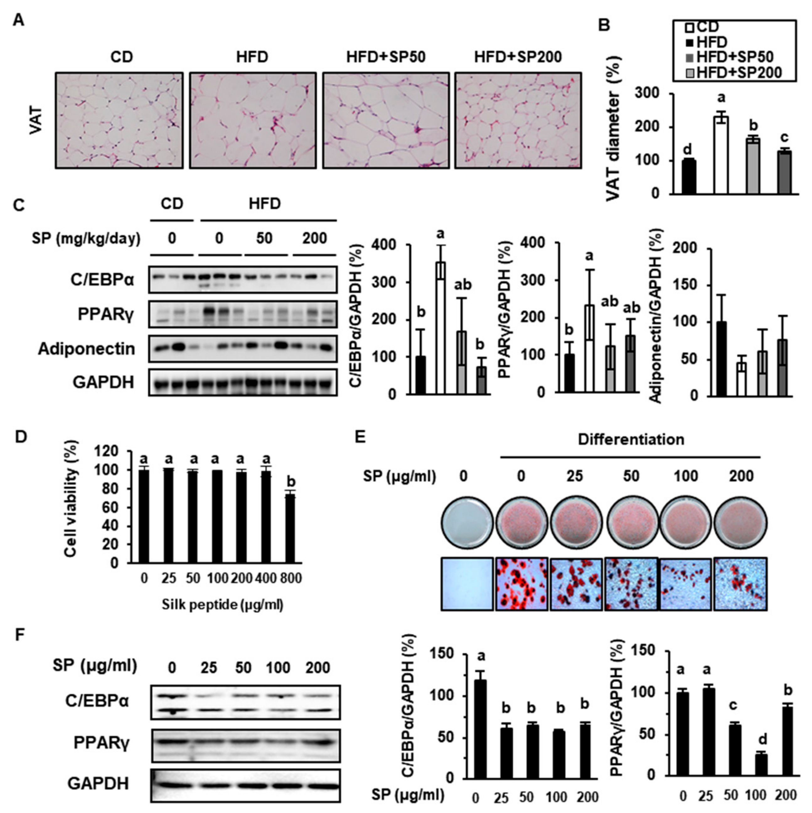Cells 09 00377 g003 Cells 09 00377 g003