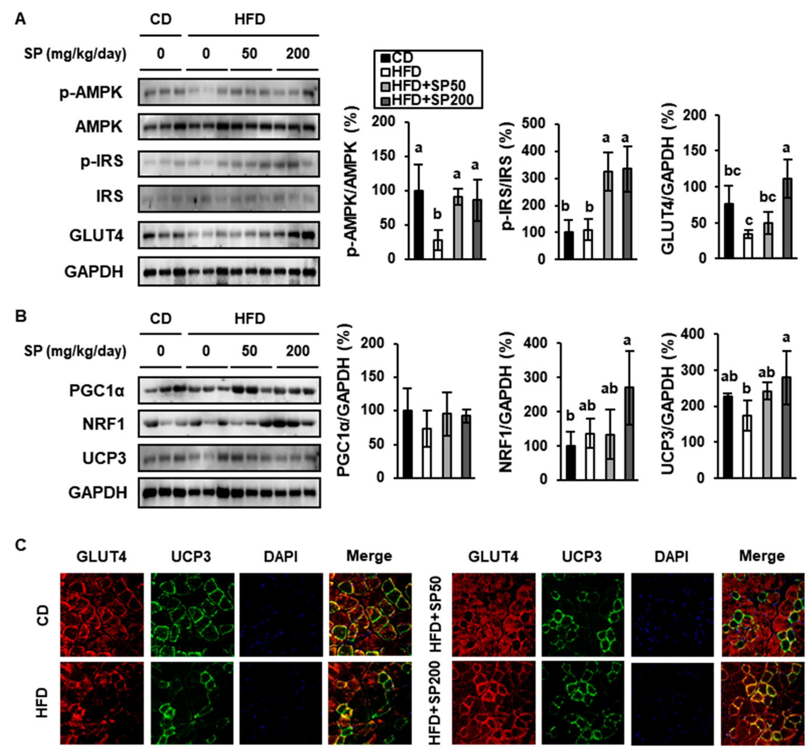Cells 09 00377 g005 Cells 09 00377 g005