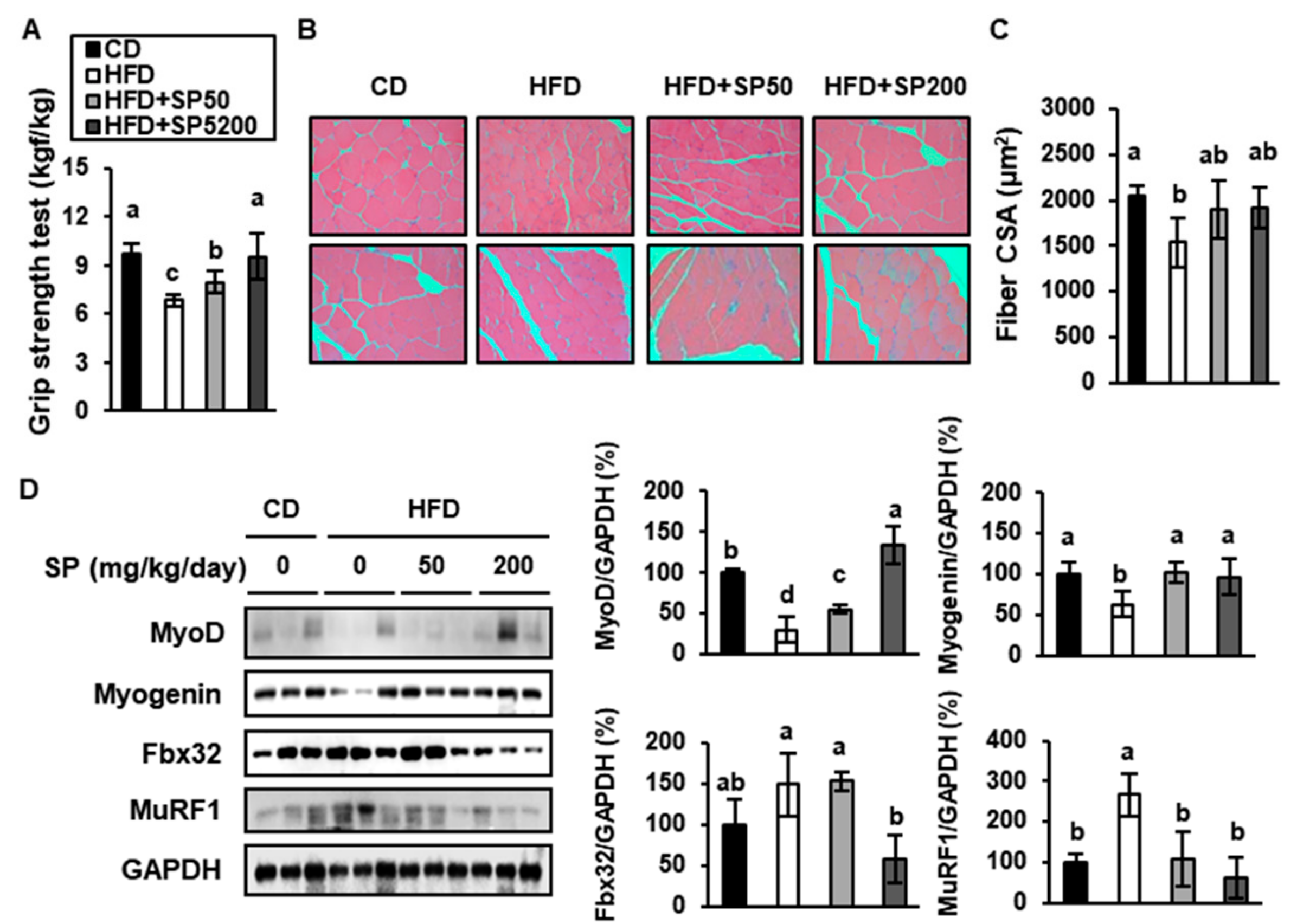 Cells 09 00377 g006 Cells 09 00377 g006