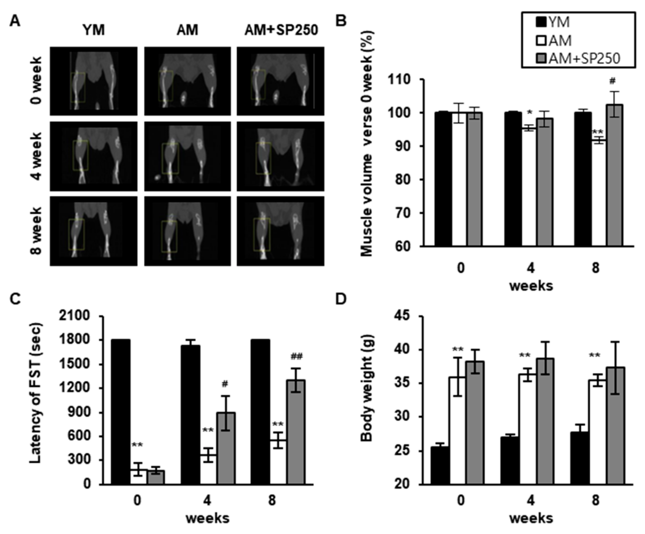 Cells 09 00377 g007 Cells 09 00377 g007
