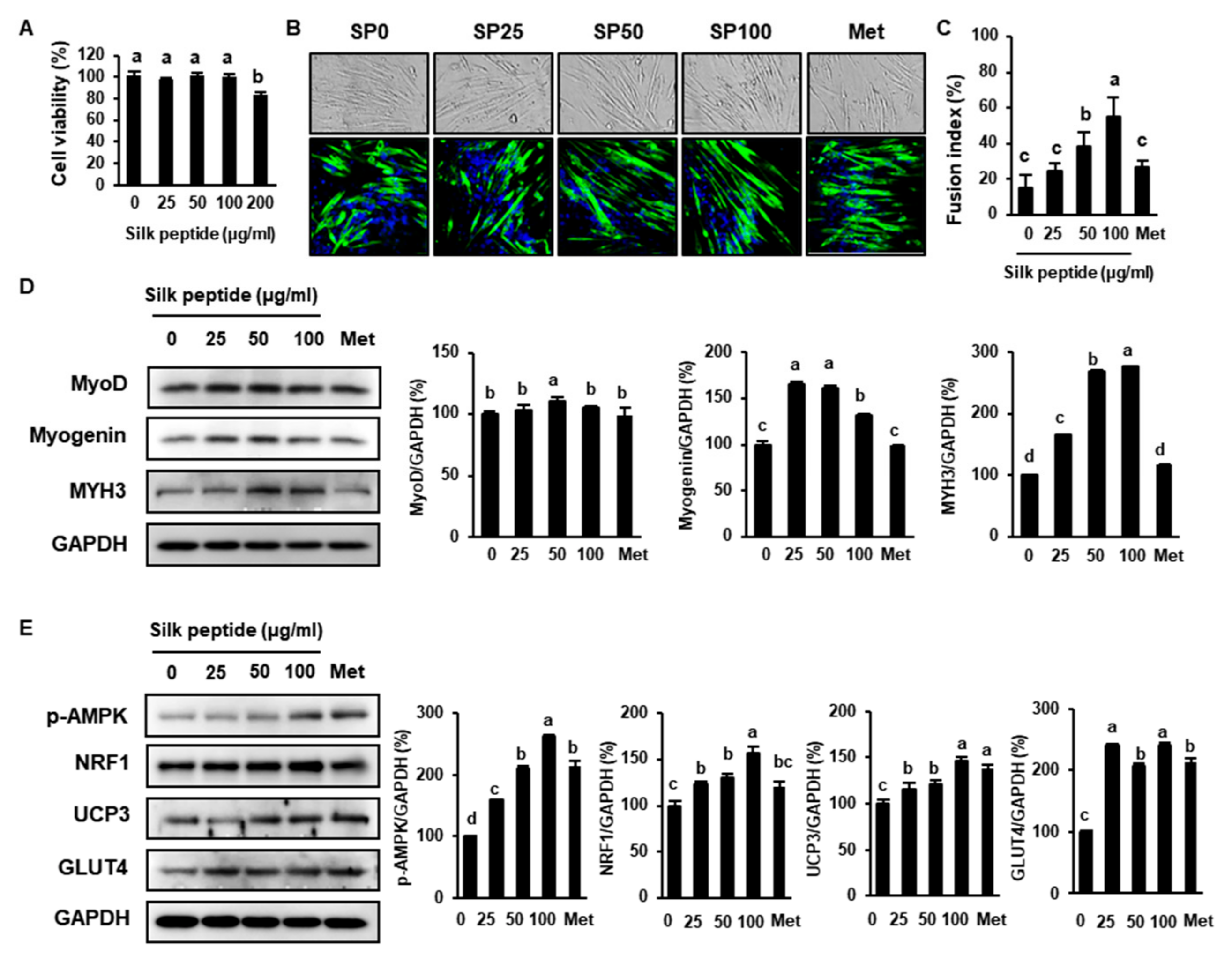 Cells 09 00377 g008 Cells 09 00377 g008