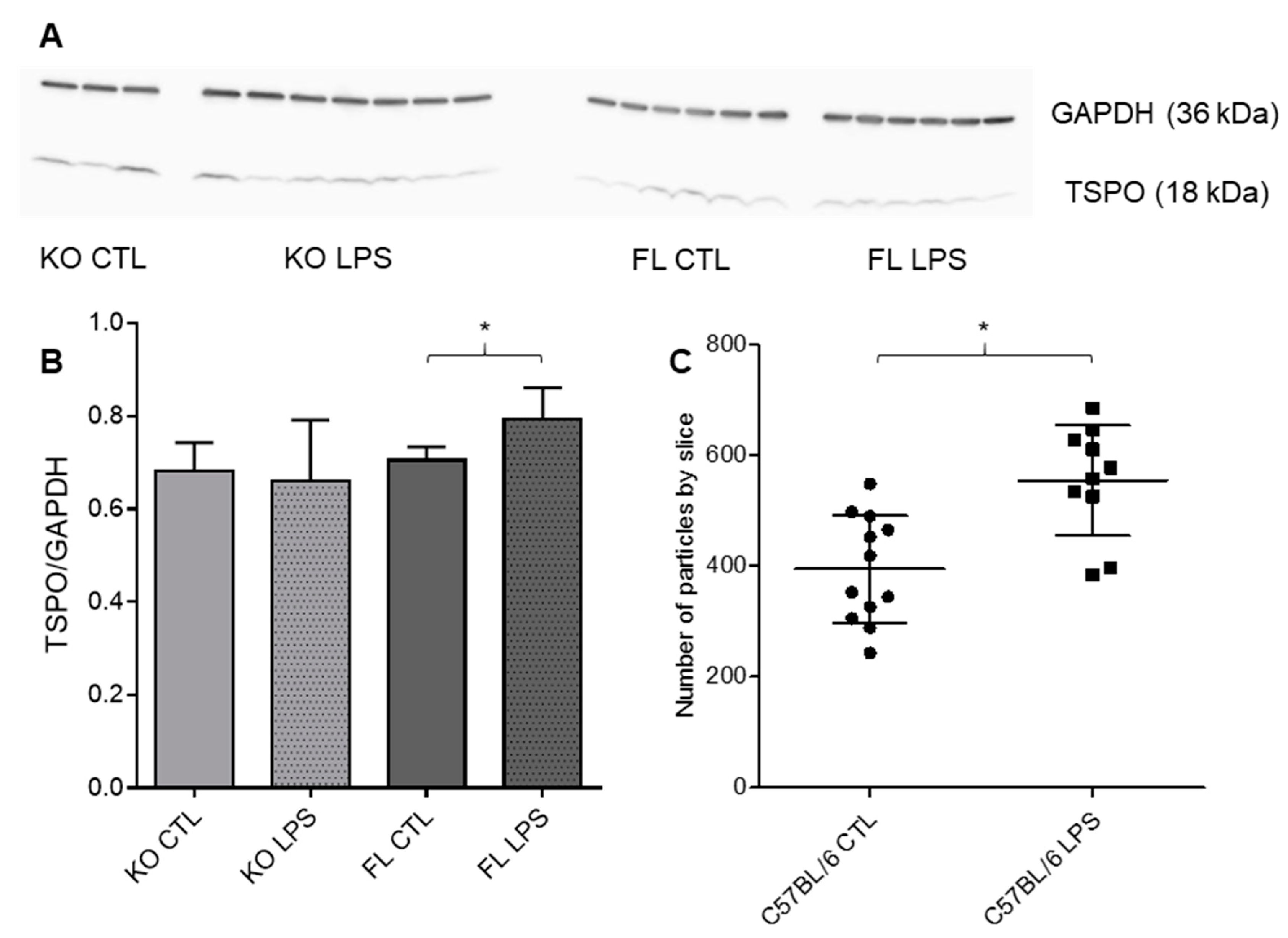 Cells 09 00389 g005 Cells 09 00389 g005