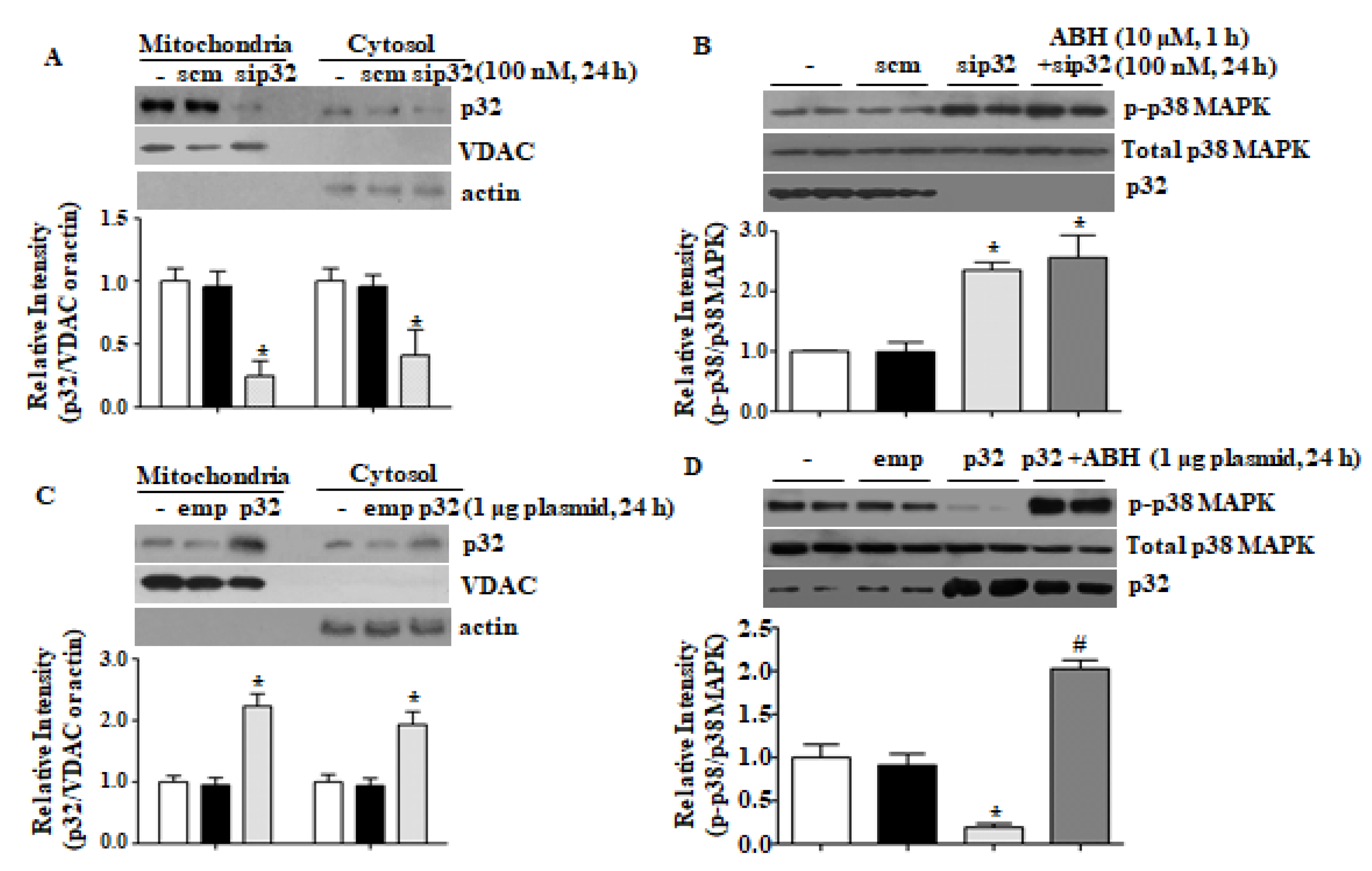 Cells 09 00392 g003 Cells 09 00392 g003