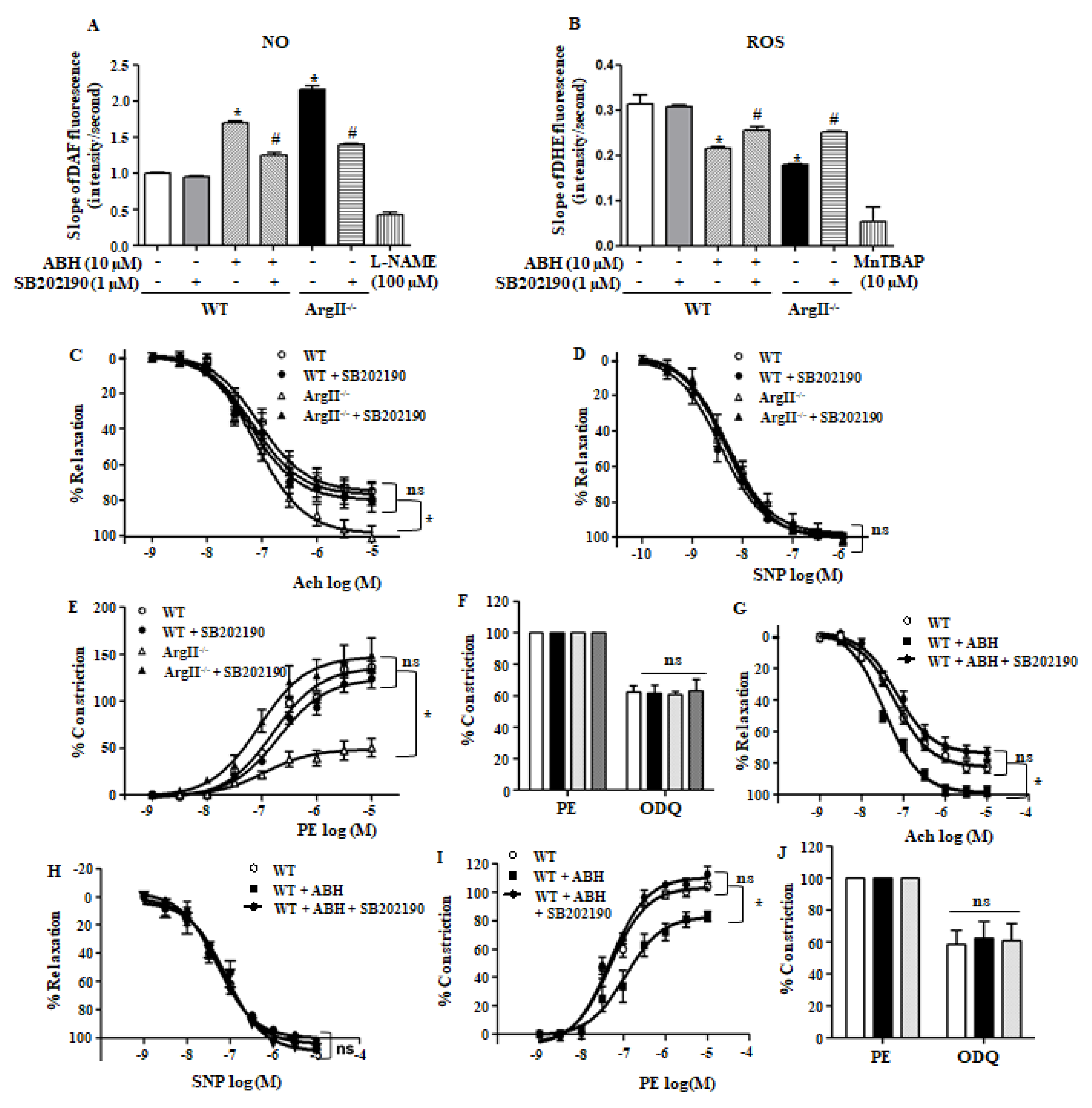 Cells 09 00392 g005 Cells 09 00392 g005