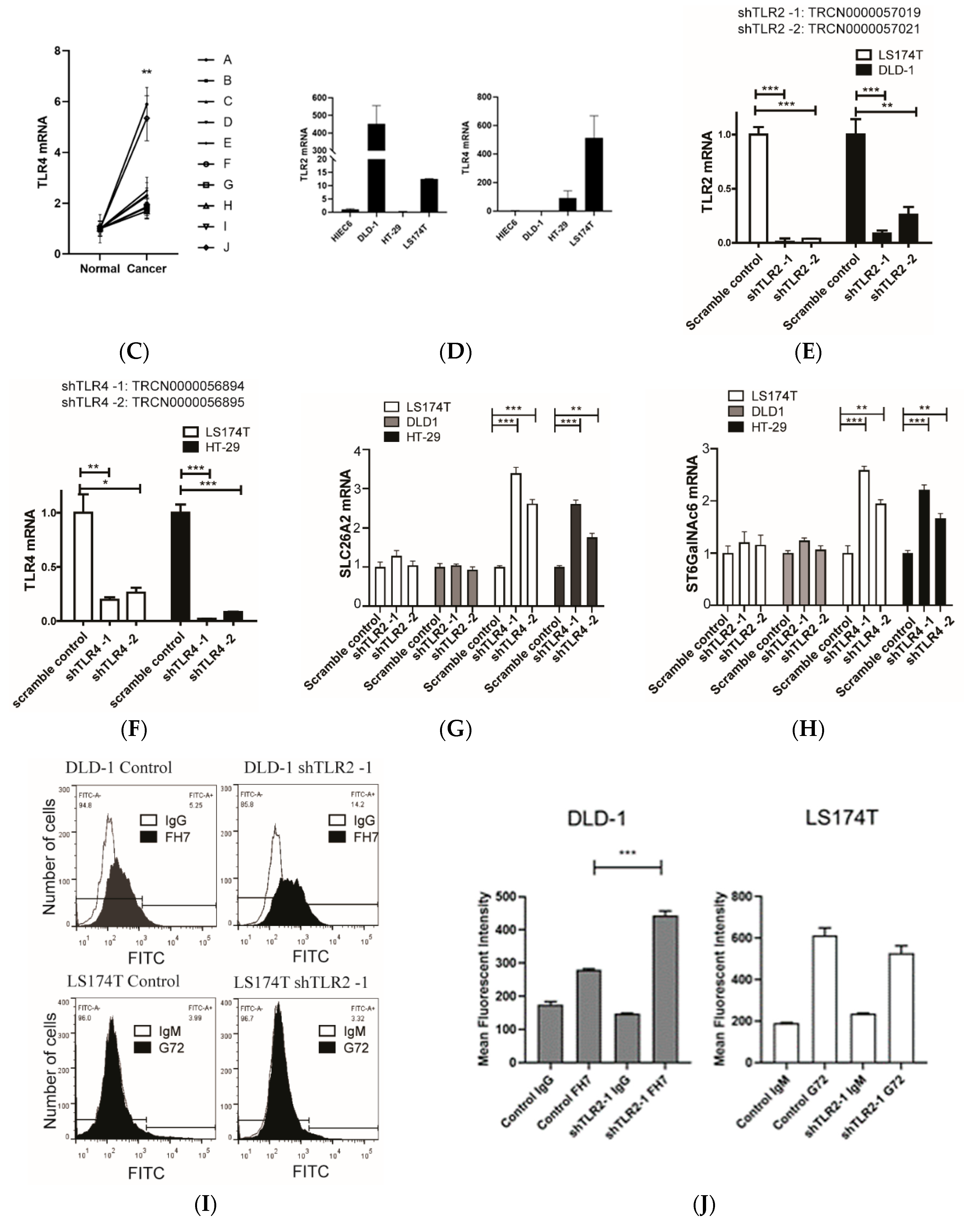 Cells 09 00397 g001b