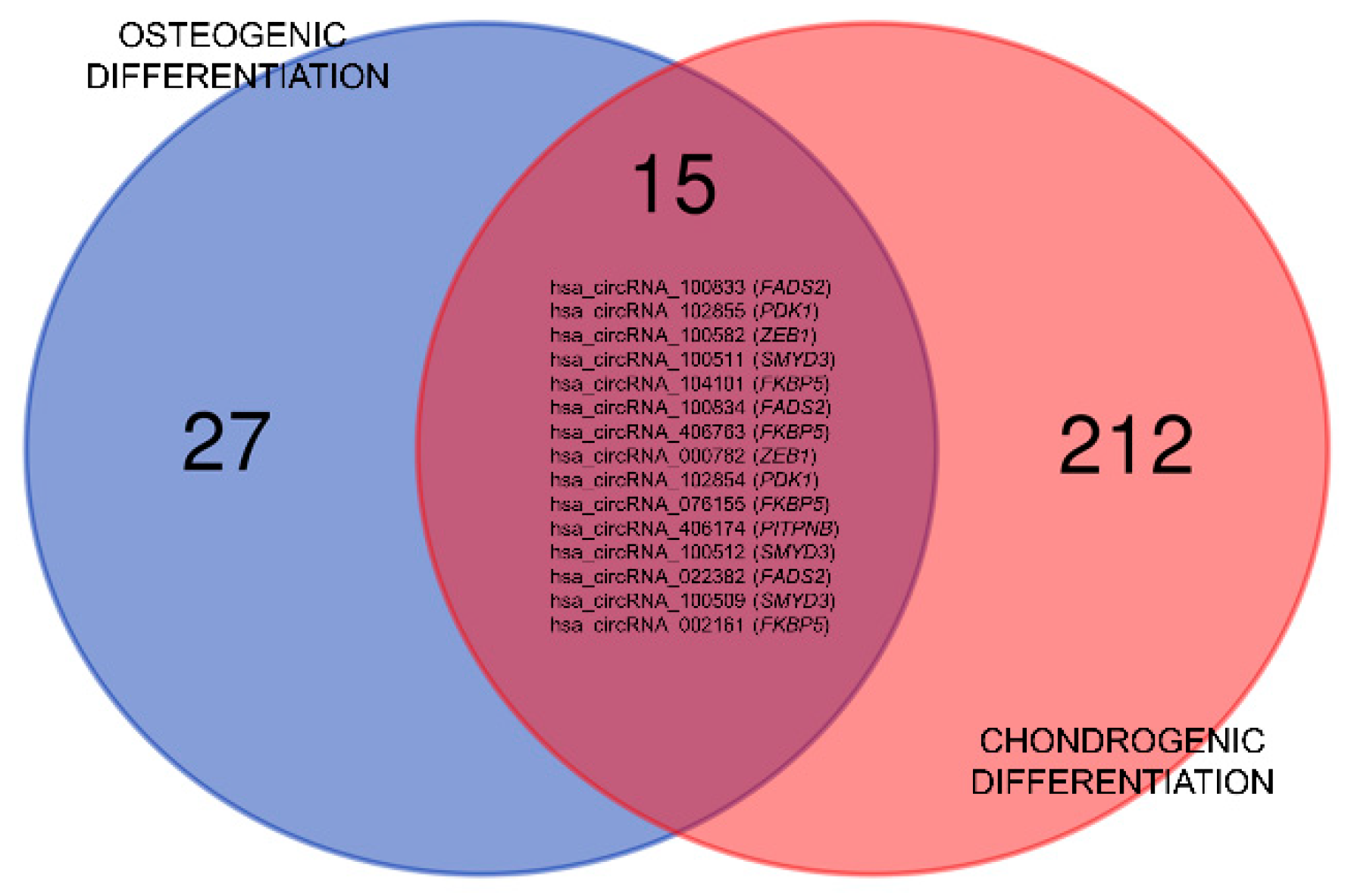 Cells 09 00398 g001 Cells 09 00398 g001