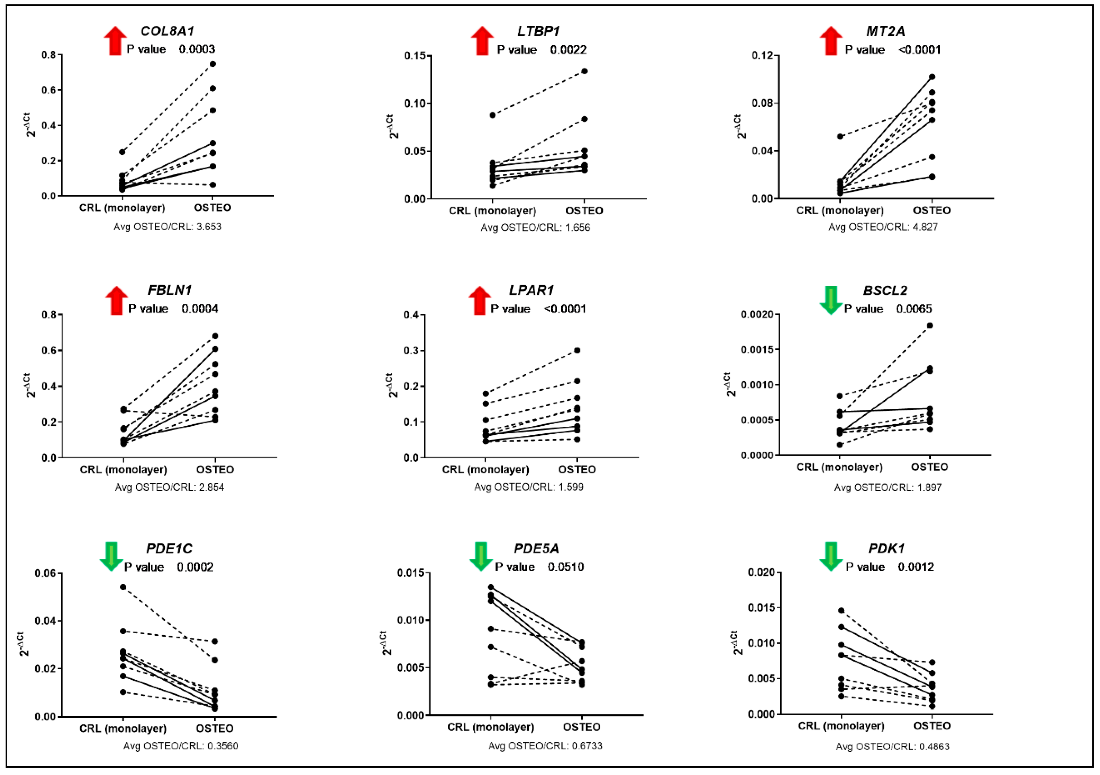 Cells 09 00398 g003 Cells 09 00398 g003