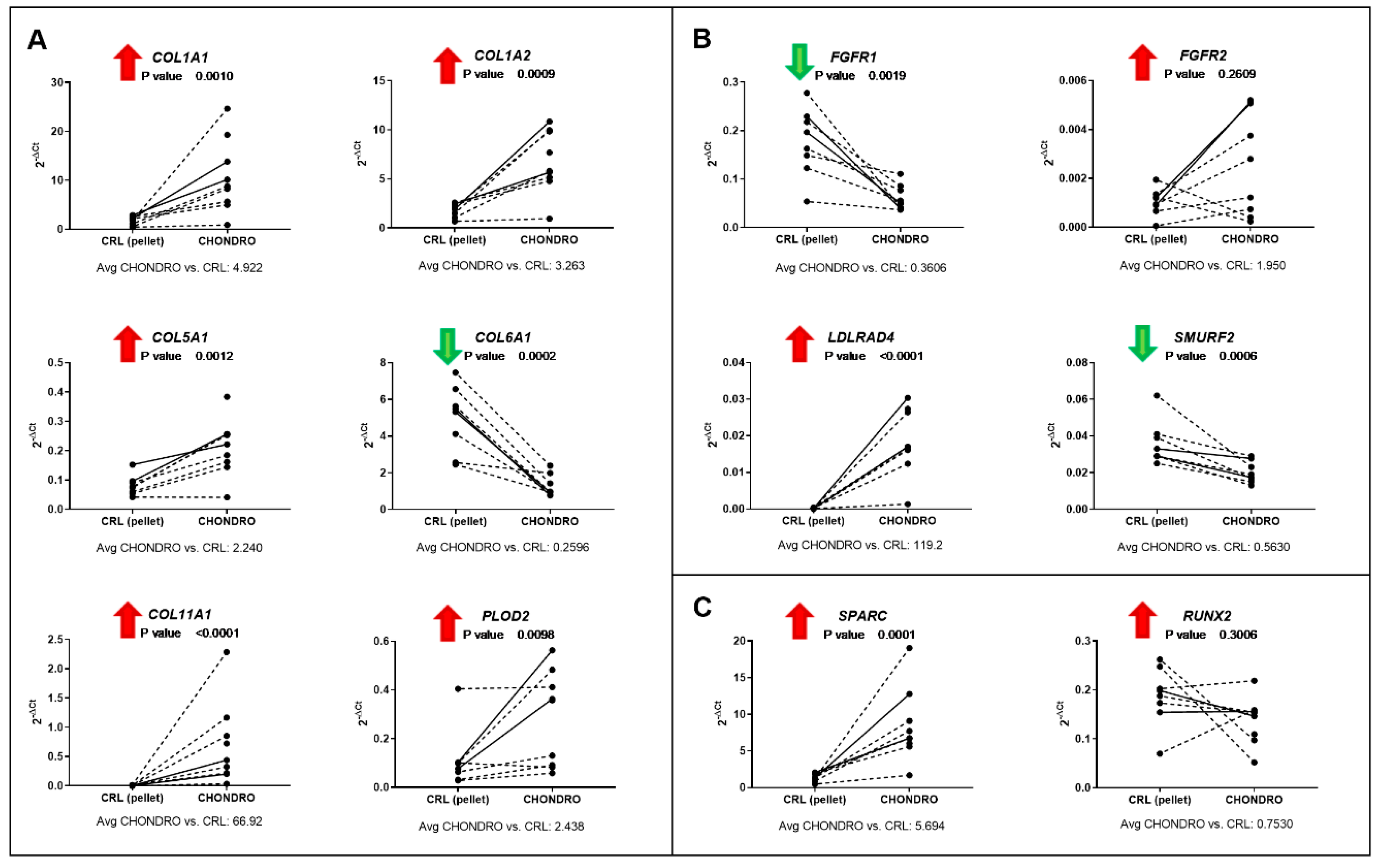 Cells 09 00398 g004 Cells 09 00398 g004