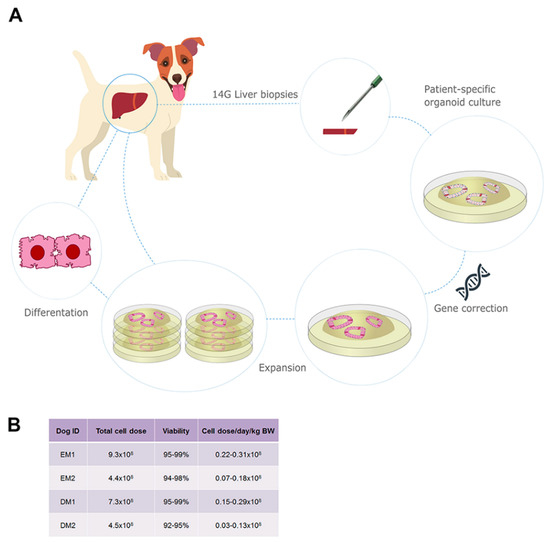 Matches Poisoning in Dogs - Symptoms, Causes, Diagnosis, Treatment,  Recovery, Management, Cost