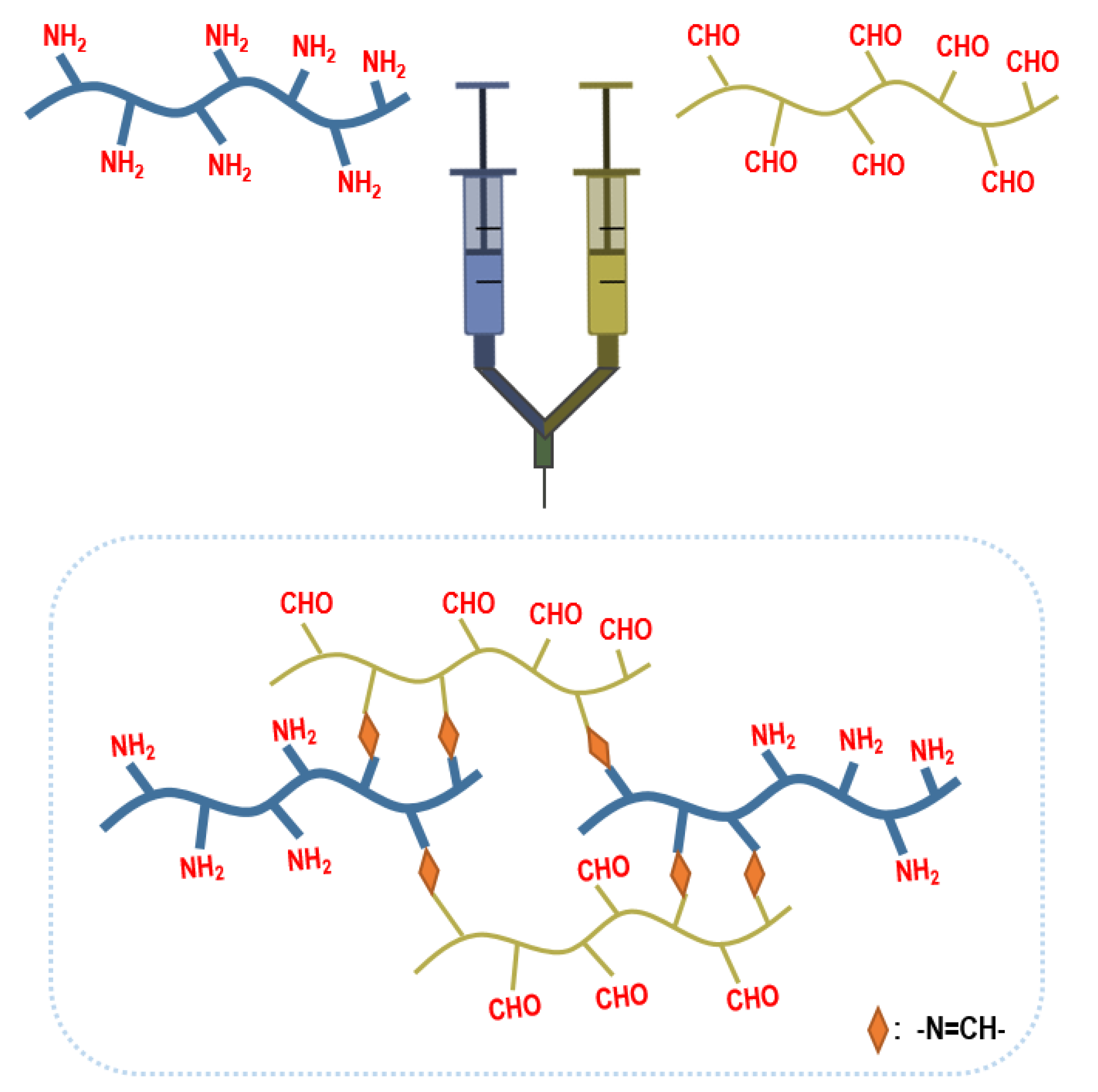 Cells 09 00419 g004 Cells 09 00419 g004
