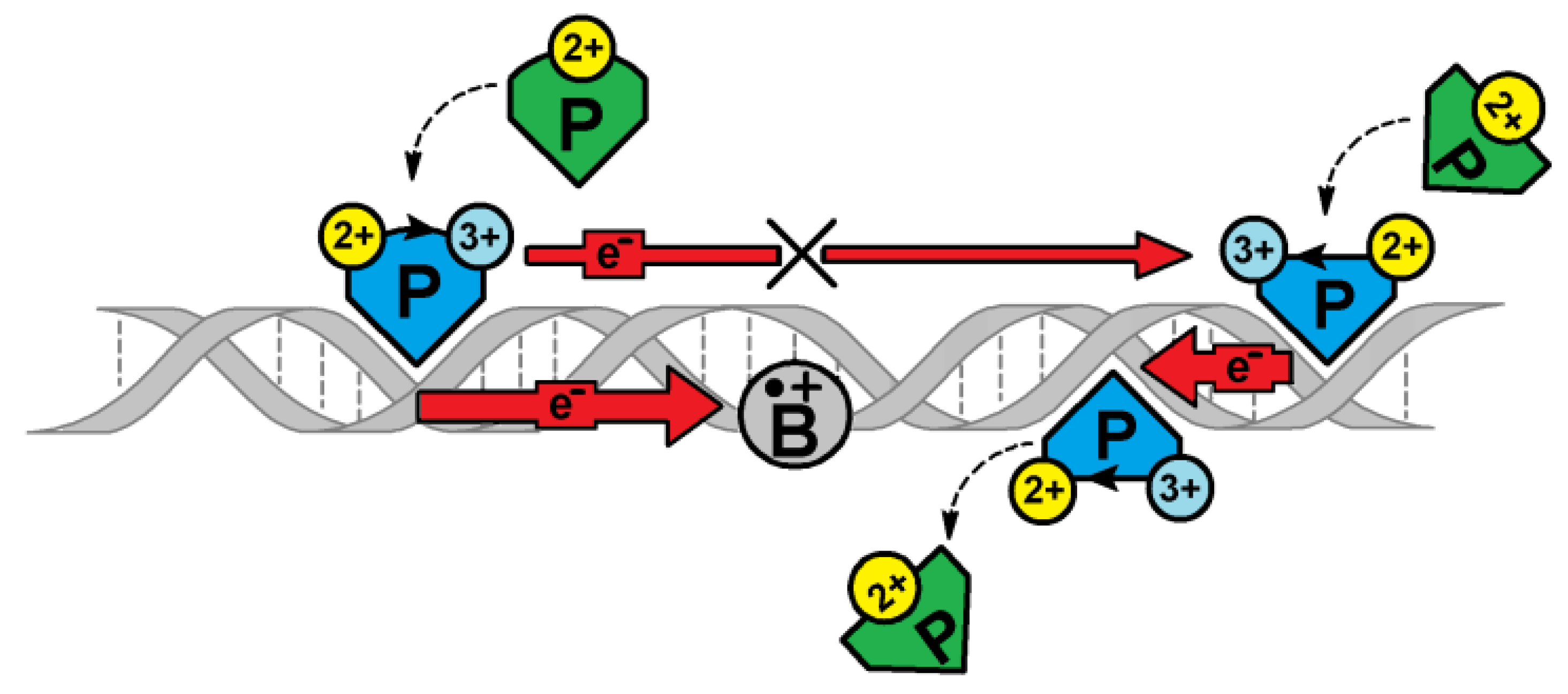 Cells 09 00424 g001 Cells 09 00424 g001