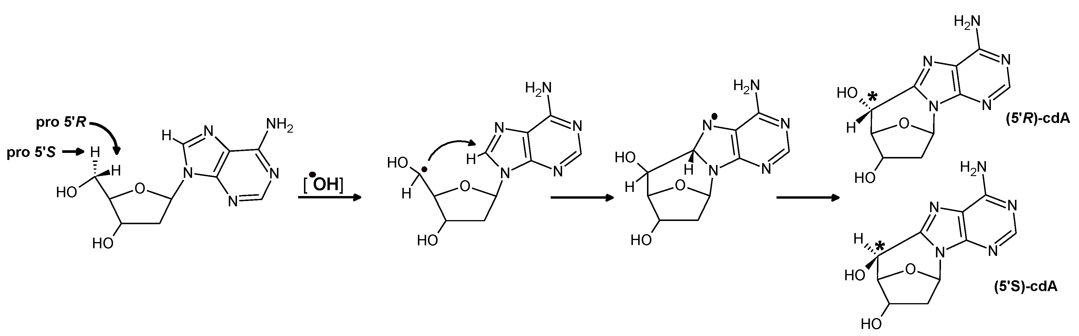 Cells 09 00424 g002 Cells 09 00424 g002