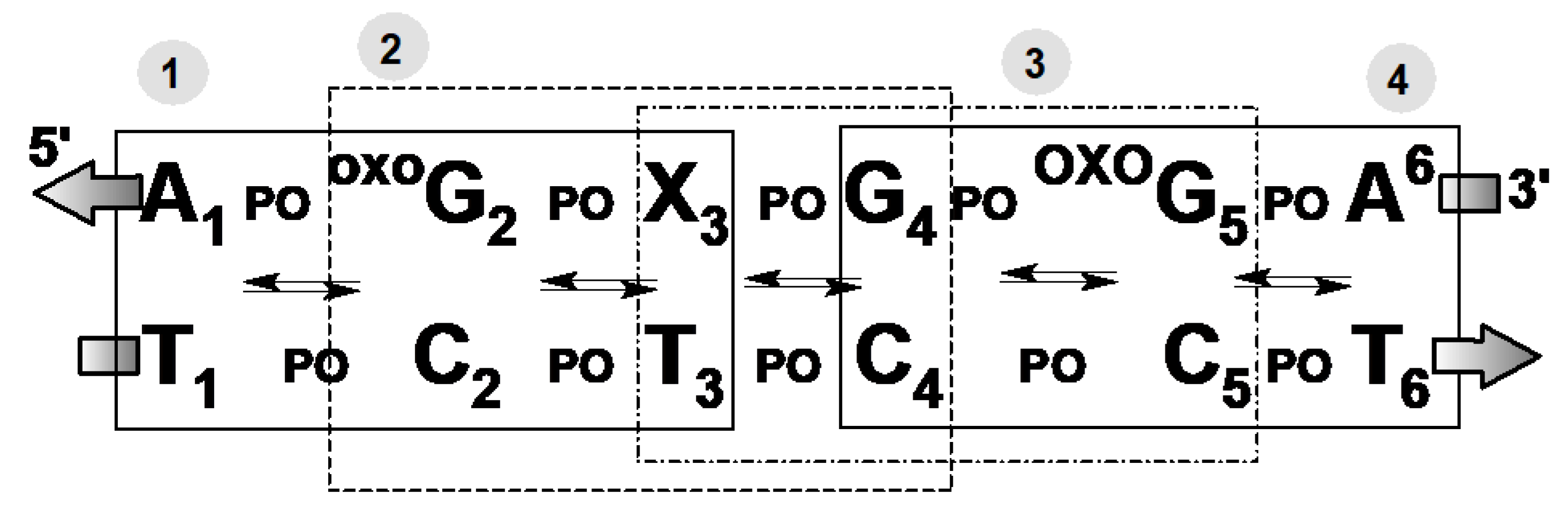 Cells 09 00424 g003 Cells 09 00424 g003