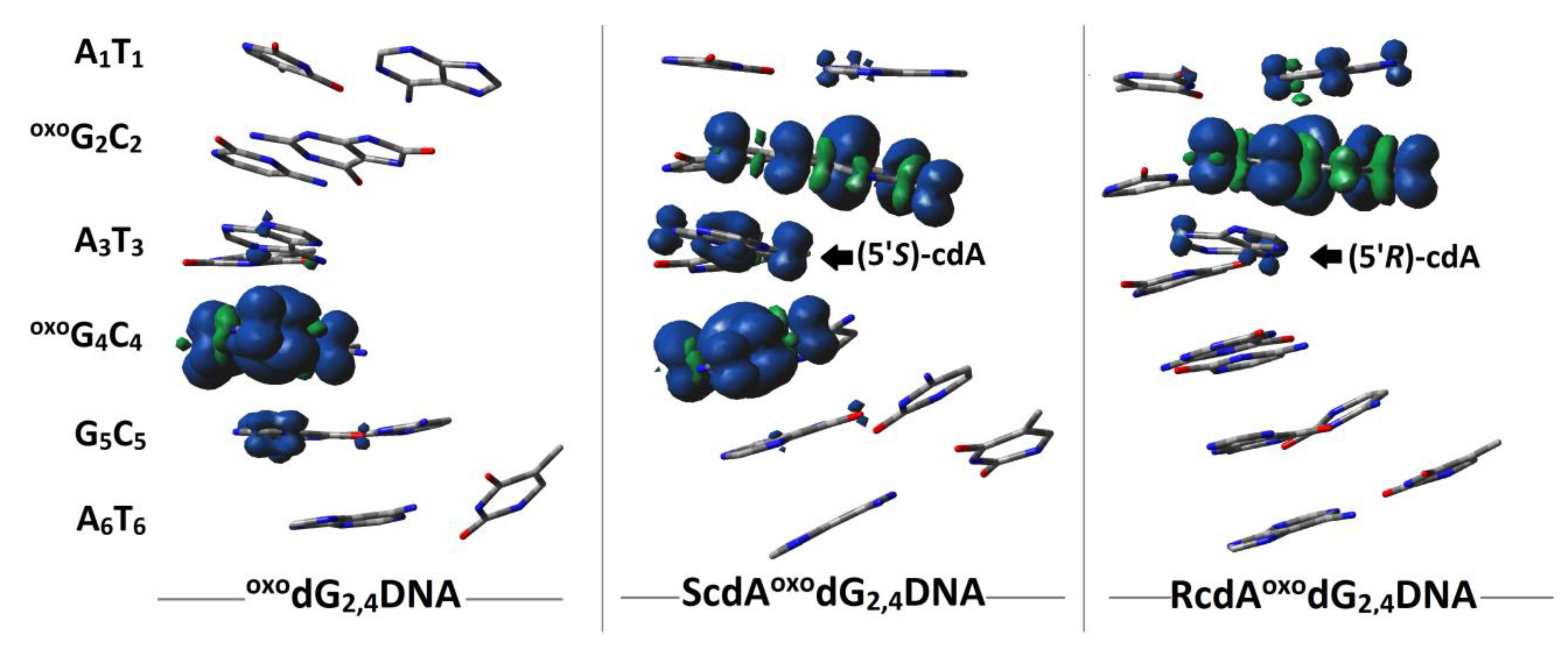 Cells 09 00424 g006 Cells 09 00424 g006