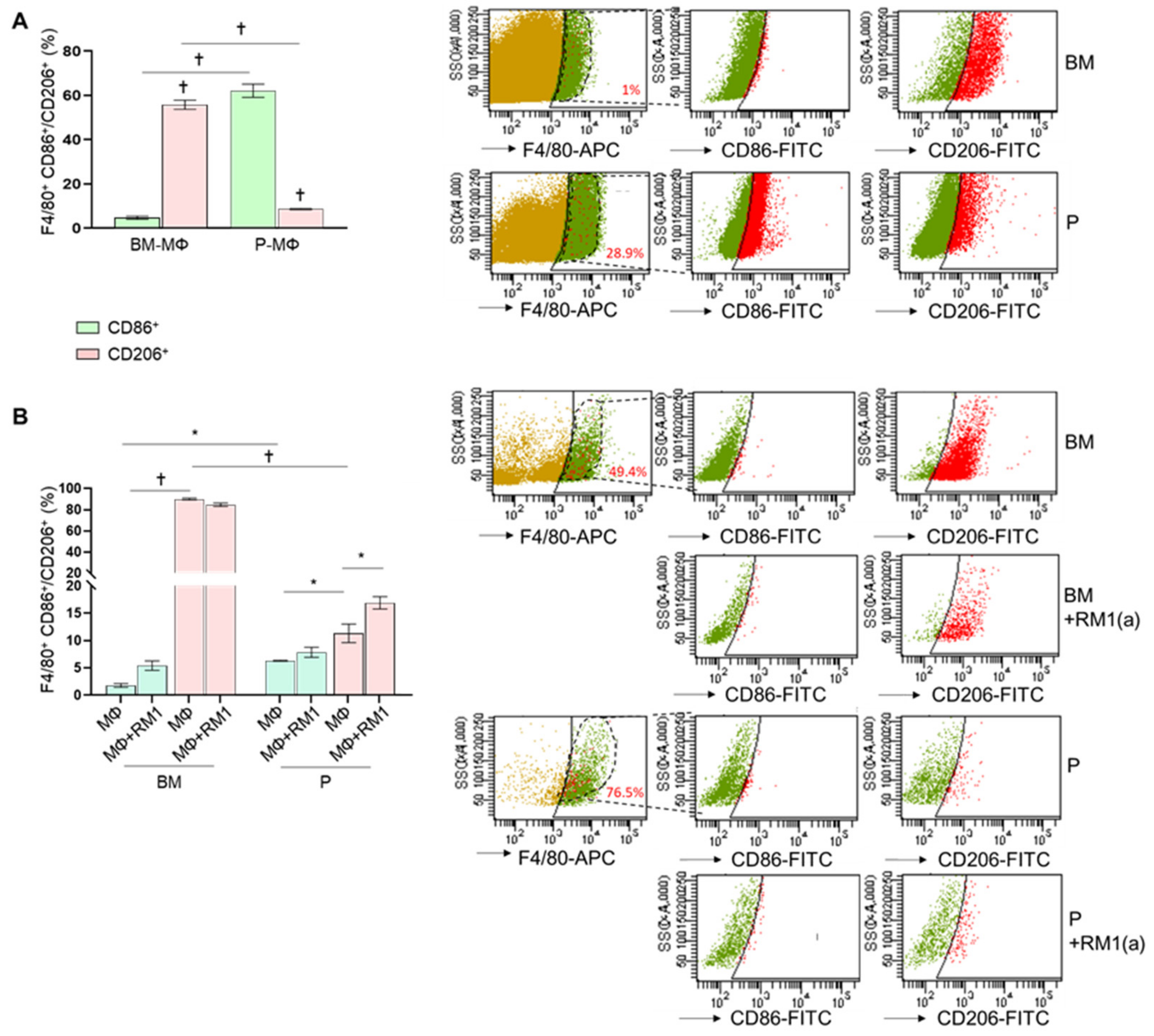 Cells 09 00429 g002 Cells 09 00429 g002