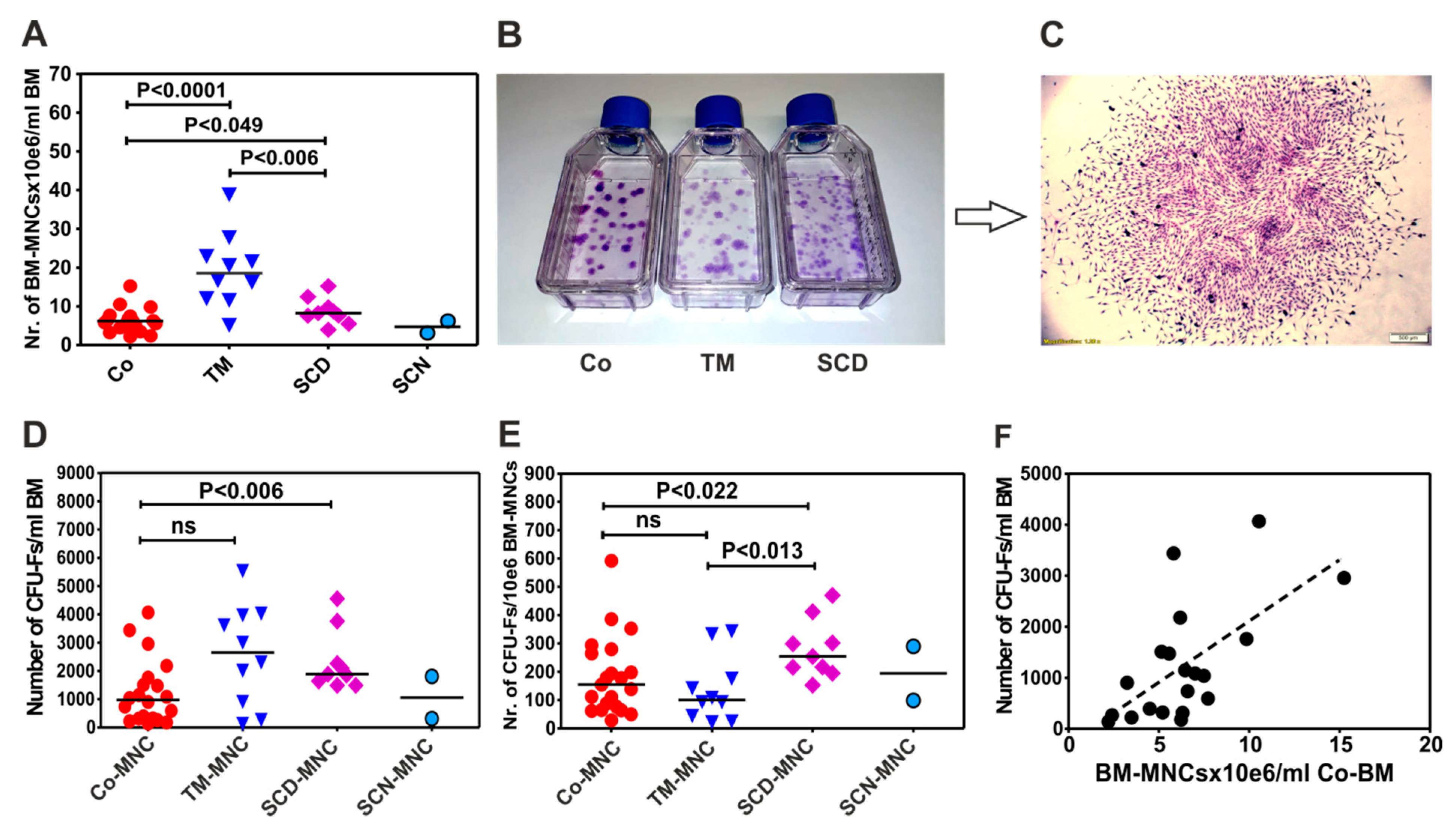 Cells 09 00431 g001 Cells 09 00431 g001