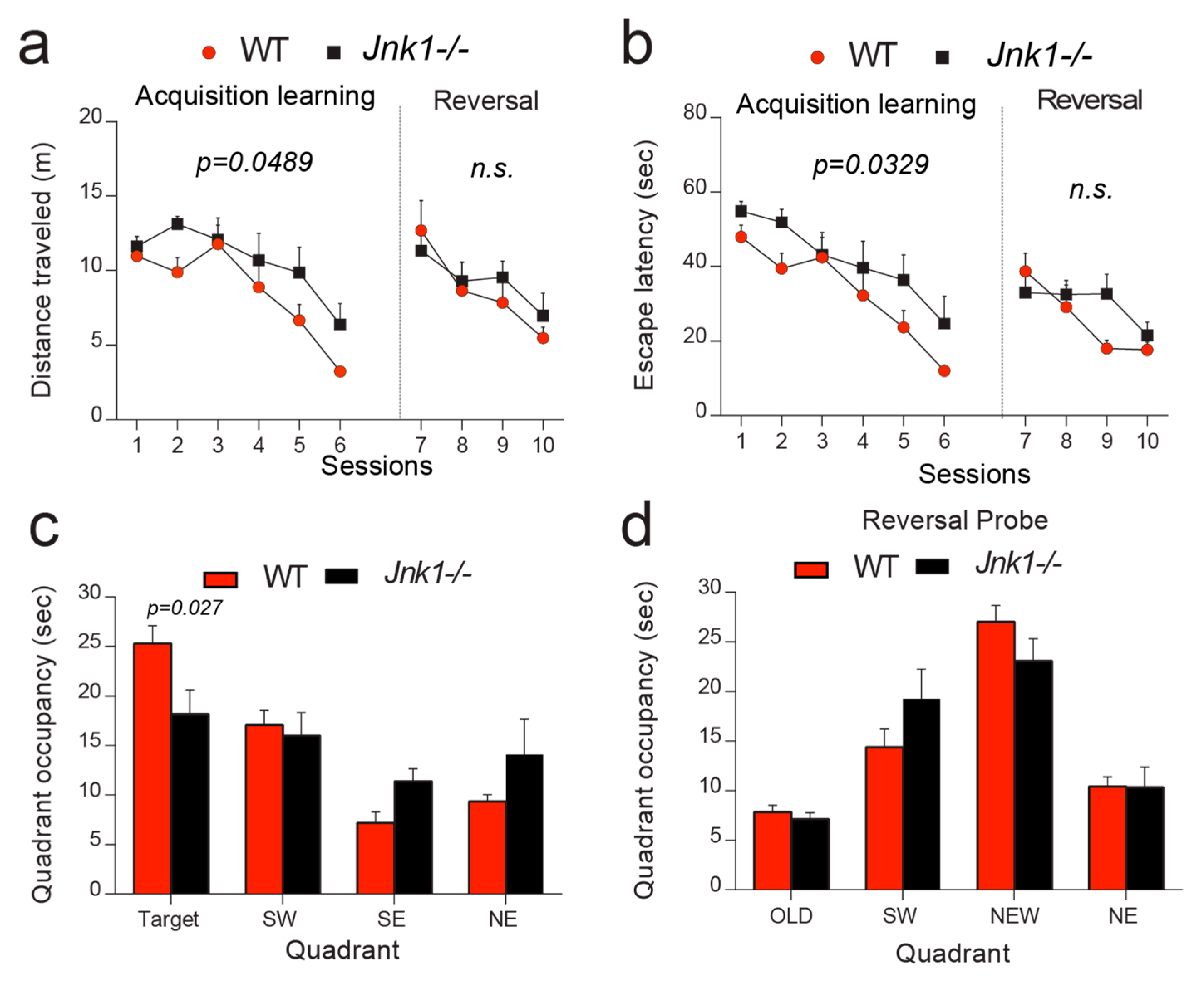 Cells 09 00440 g001 Cells 09 00440 g001