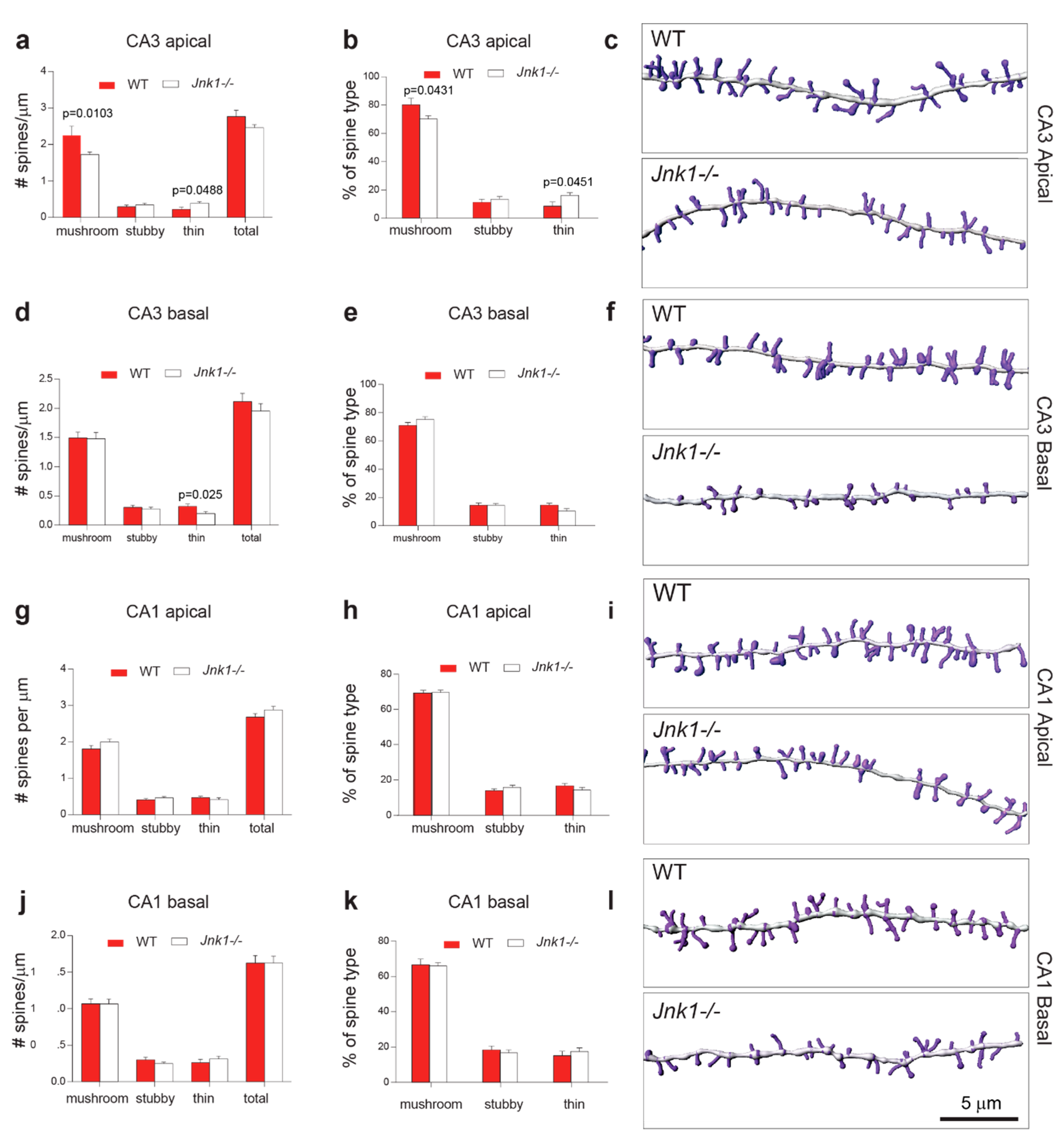 Cells 09 00440 g002 Cells 09 00440 g002