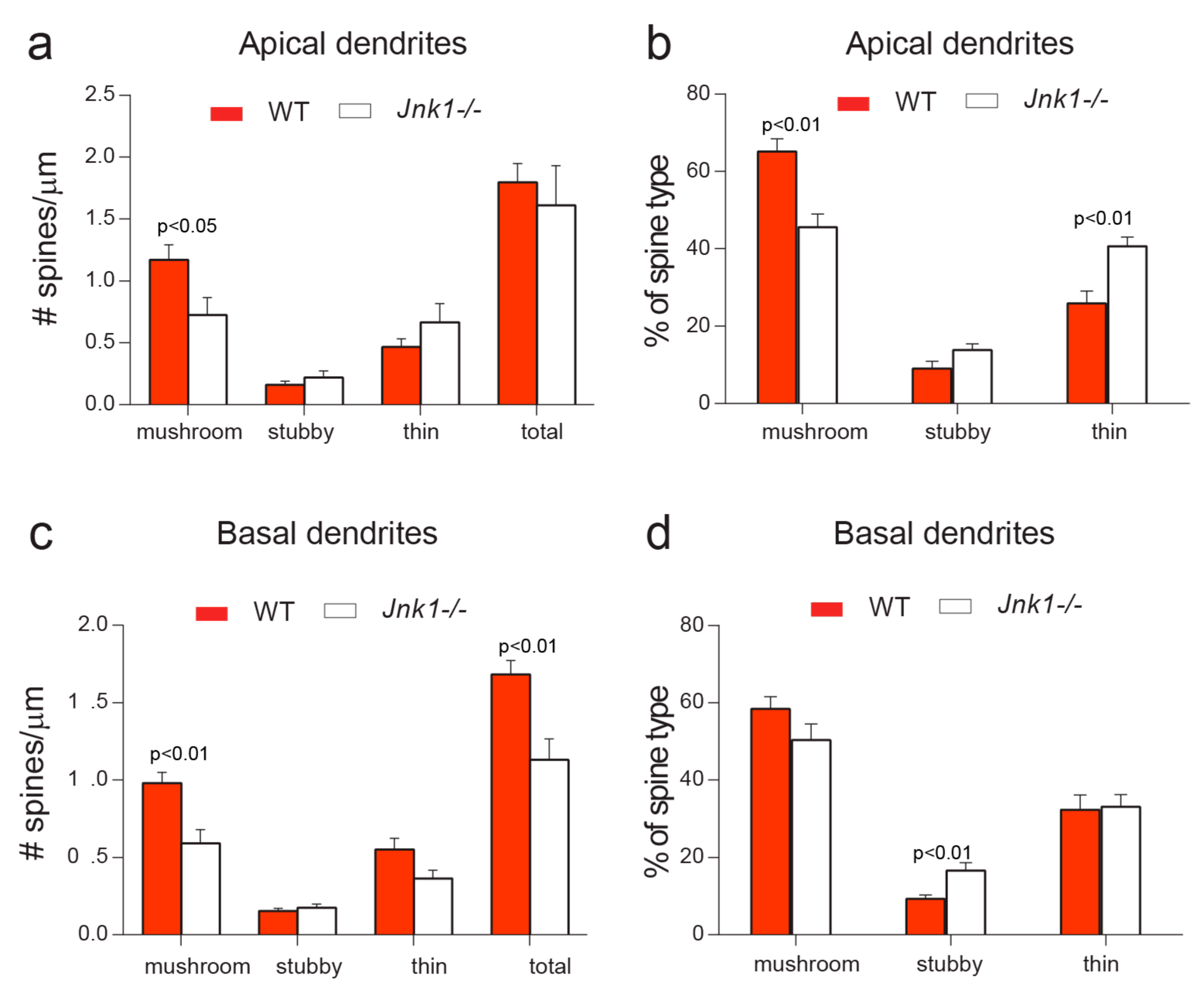 Cells 09 00440 g003 Cells 09 00440 g003