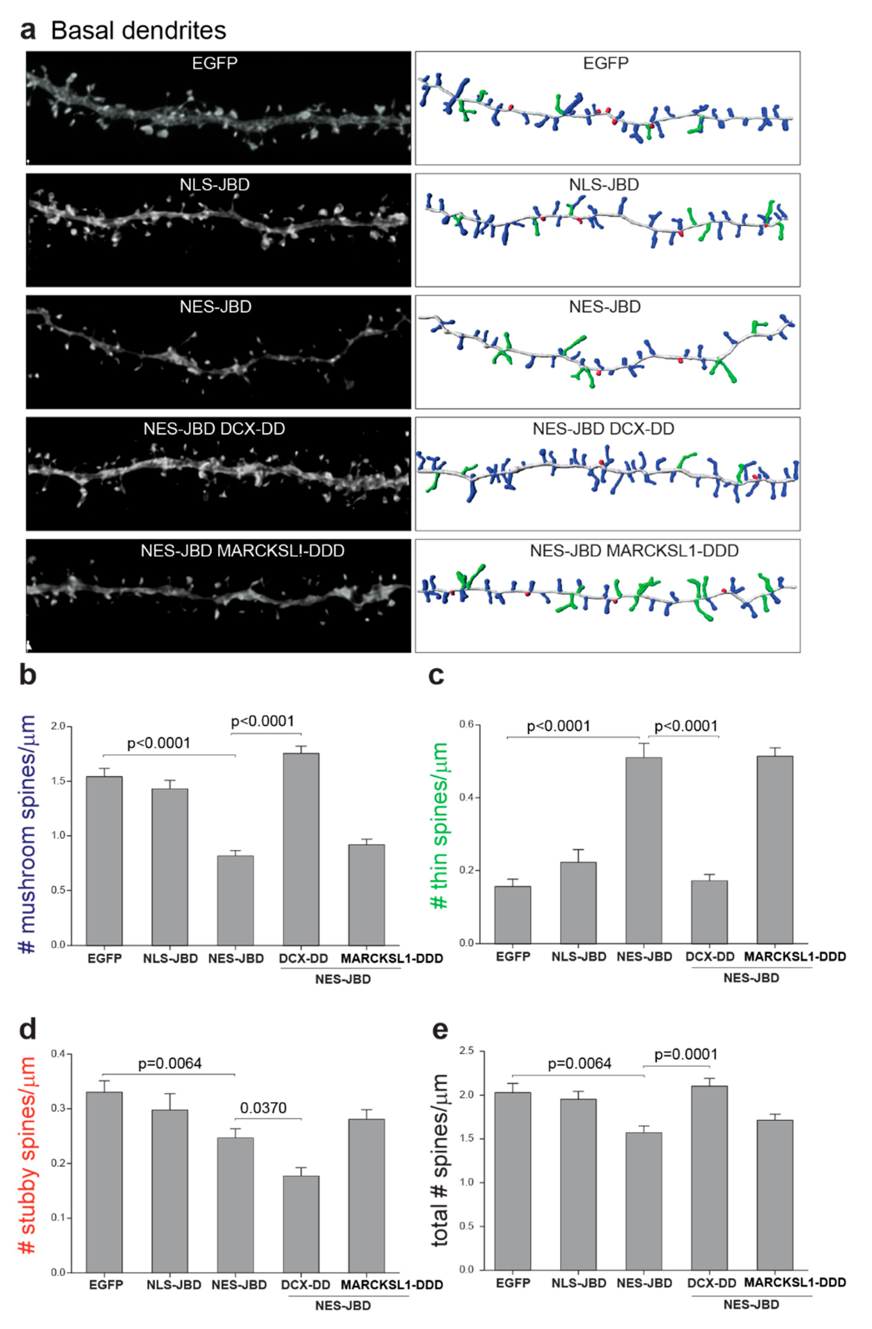 Cells 09 00440 g006 Cells 09 00440 g006