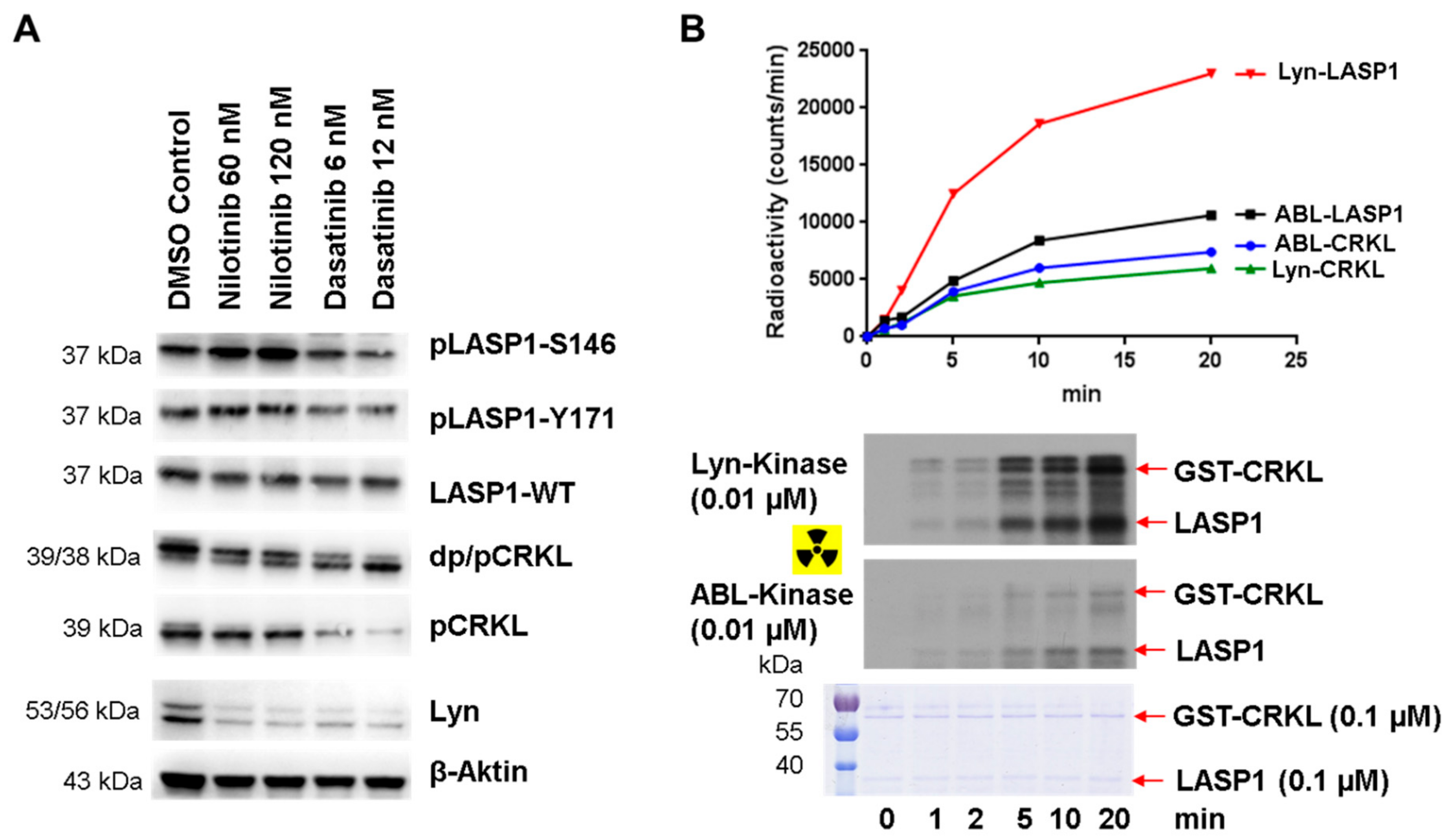 Cells 09 00444 g009 Cells 09 00444 g009