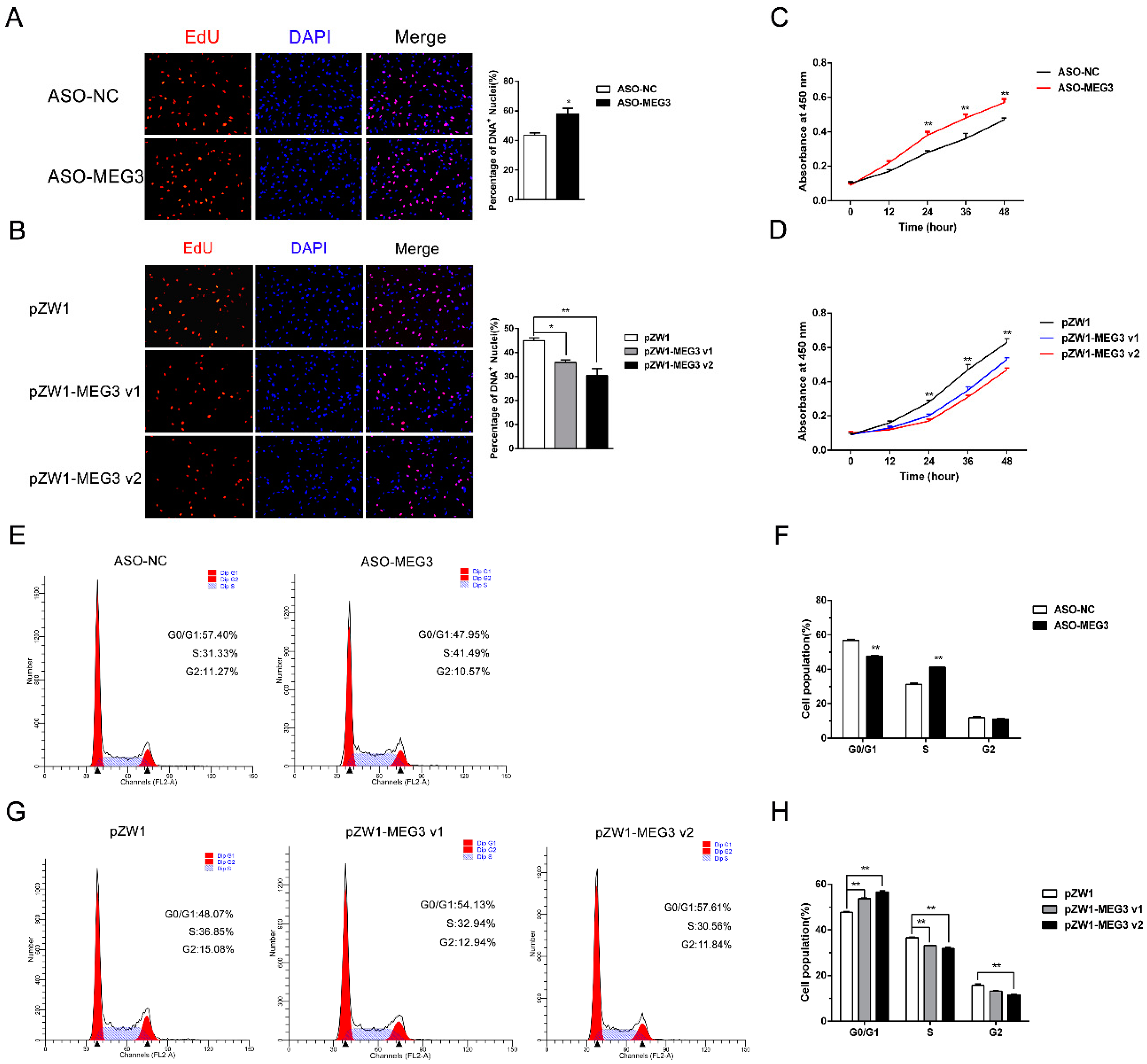 Cells 09 00449 g002 Cells 09 00449 g002