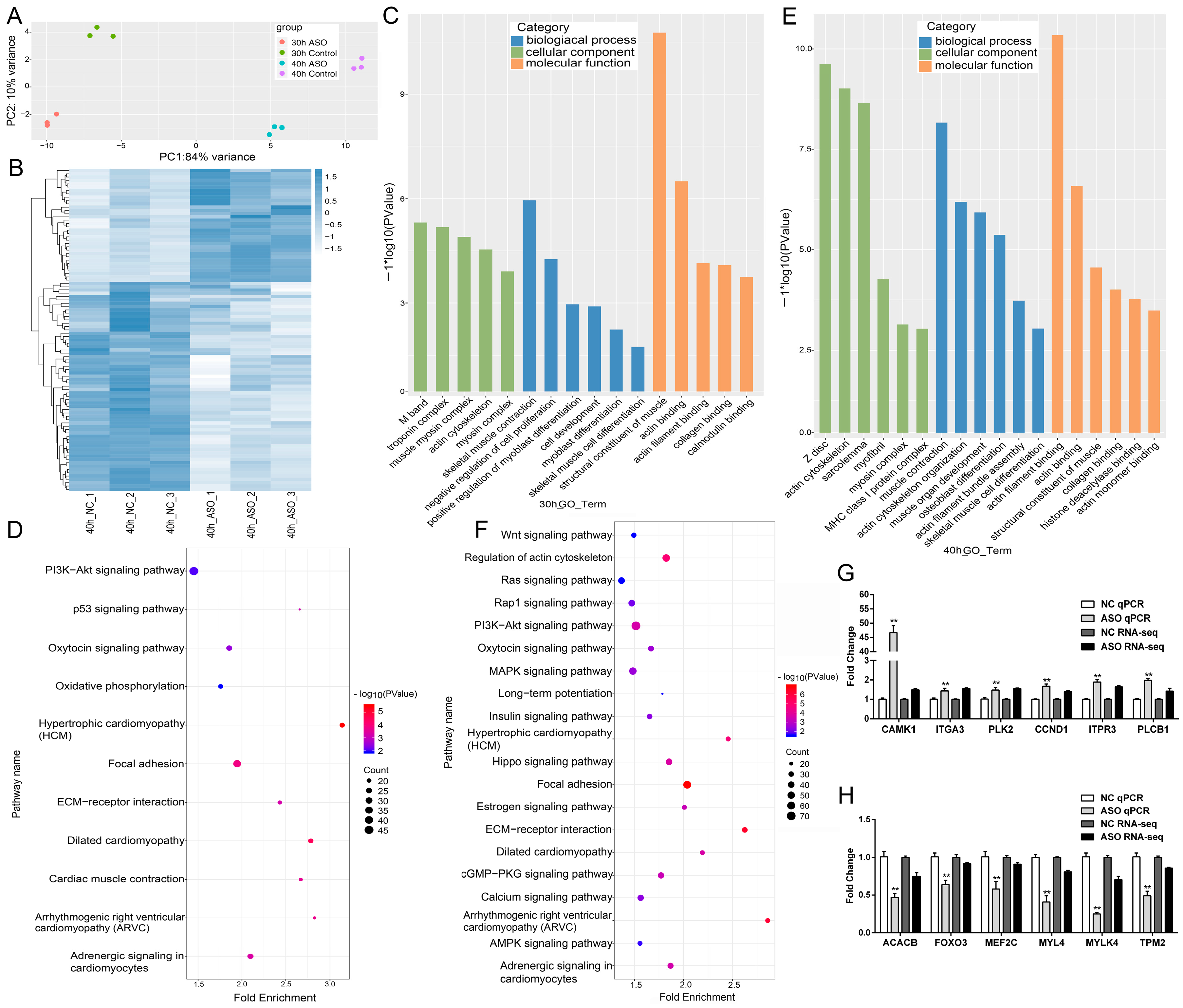 Cells 09 00449 g004 Cells 09 00449 g004