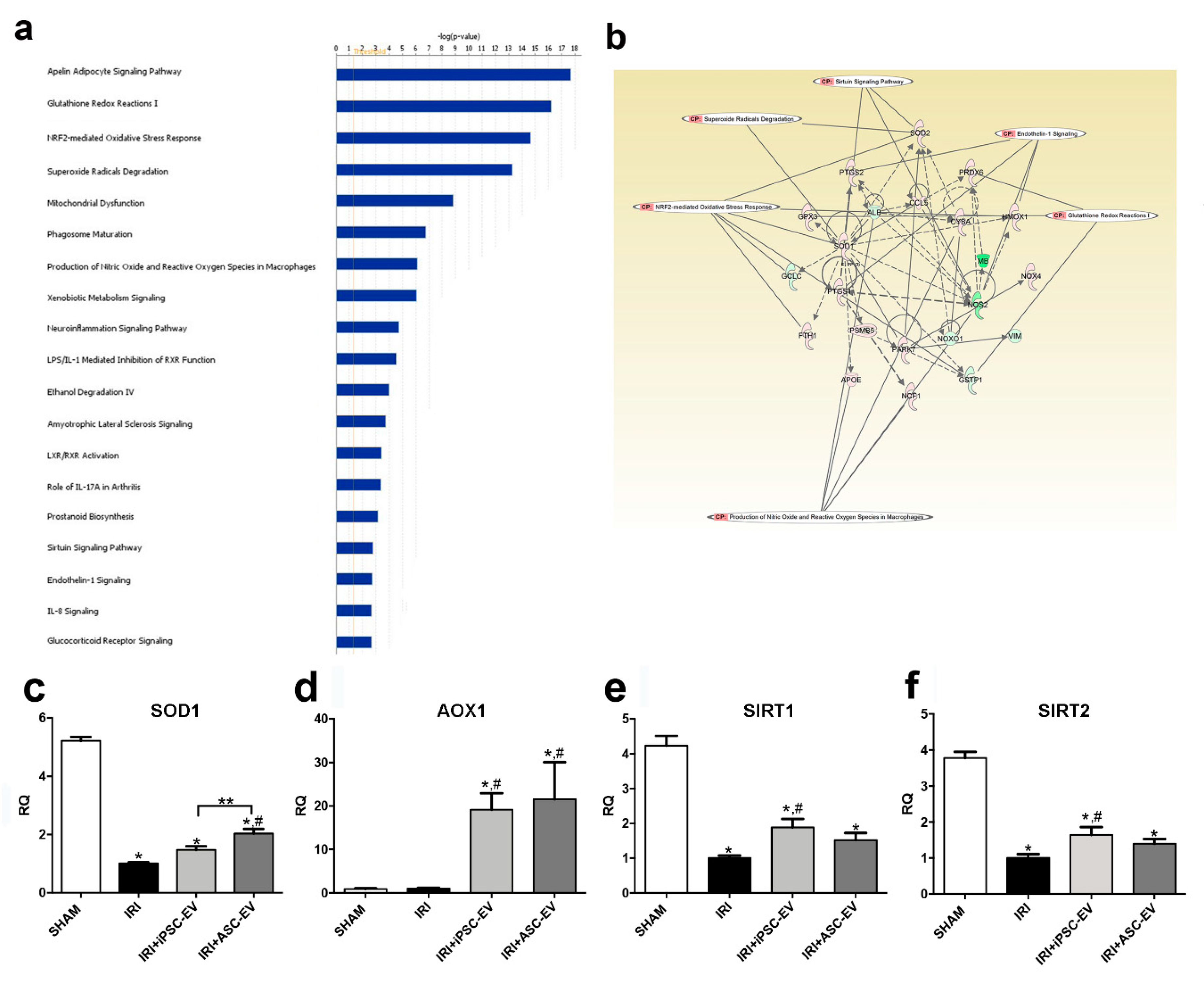 Cells 09 00453 g006 Cells 09 00453 g006