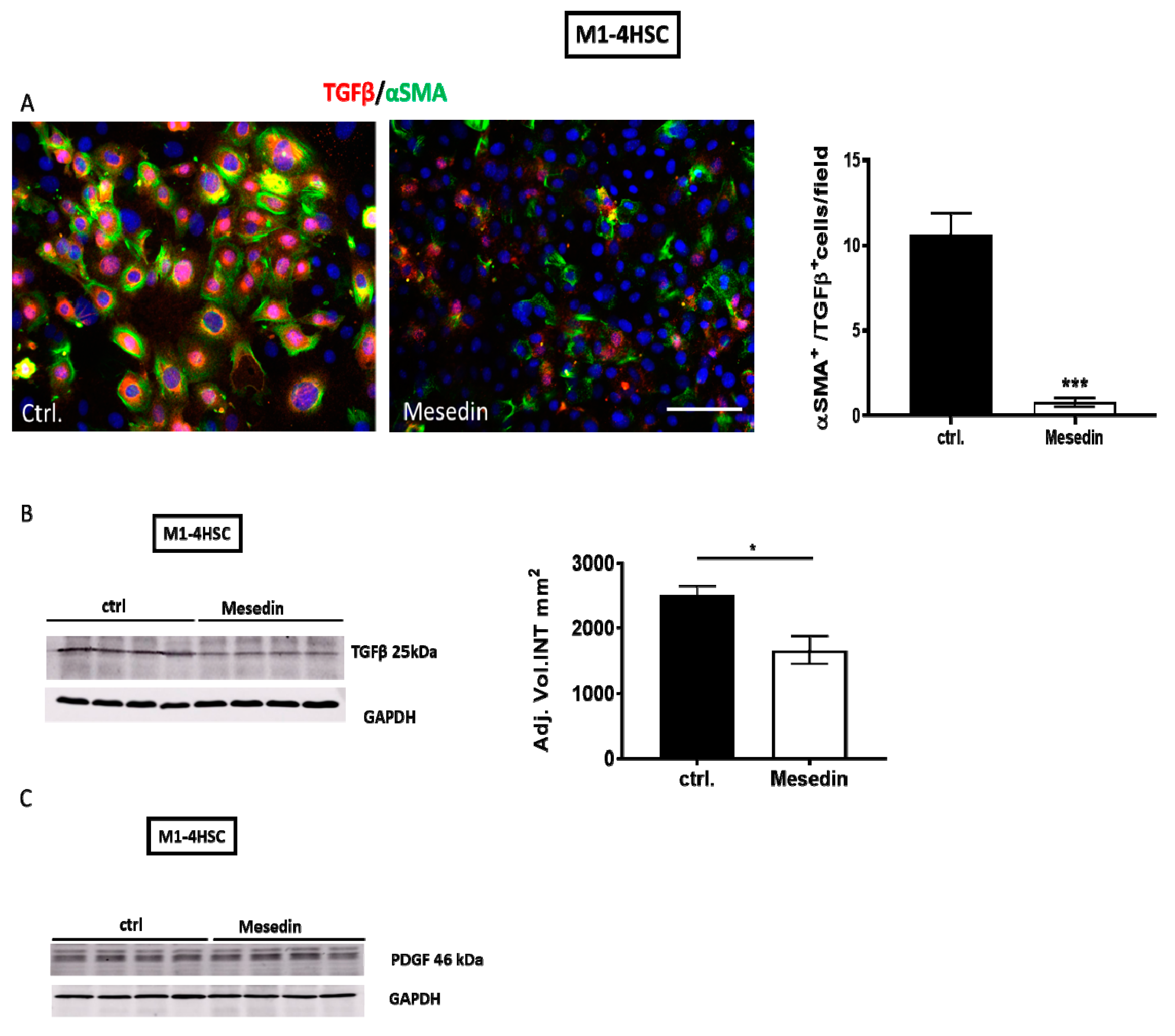 Cells 09 00456 g005 Cells 09 00456 g005