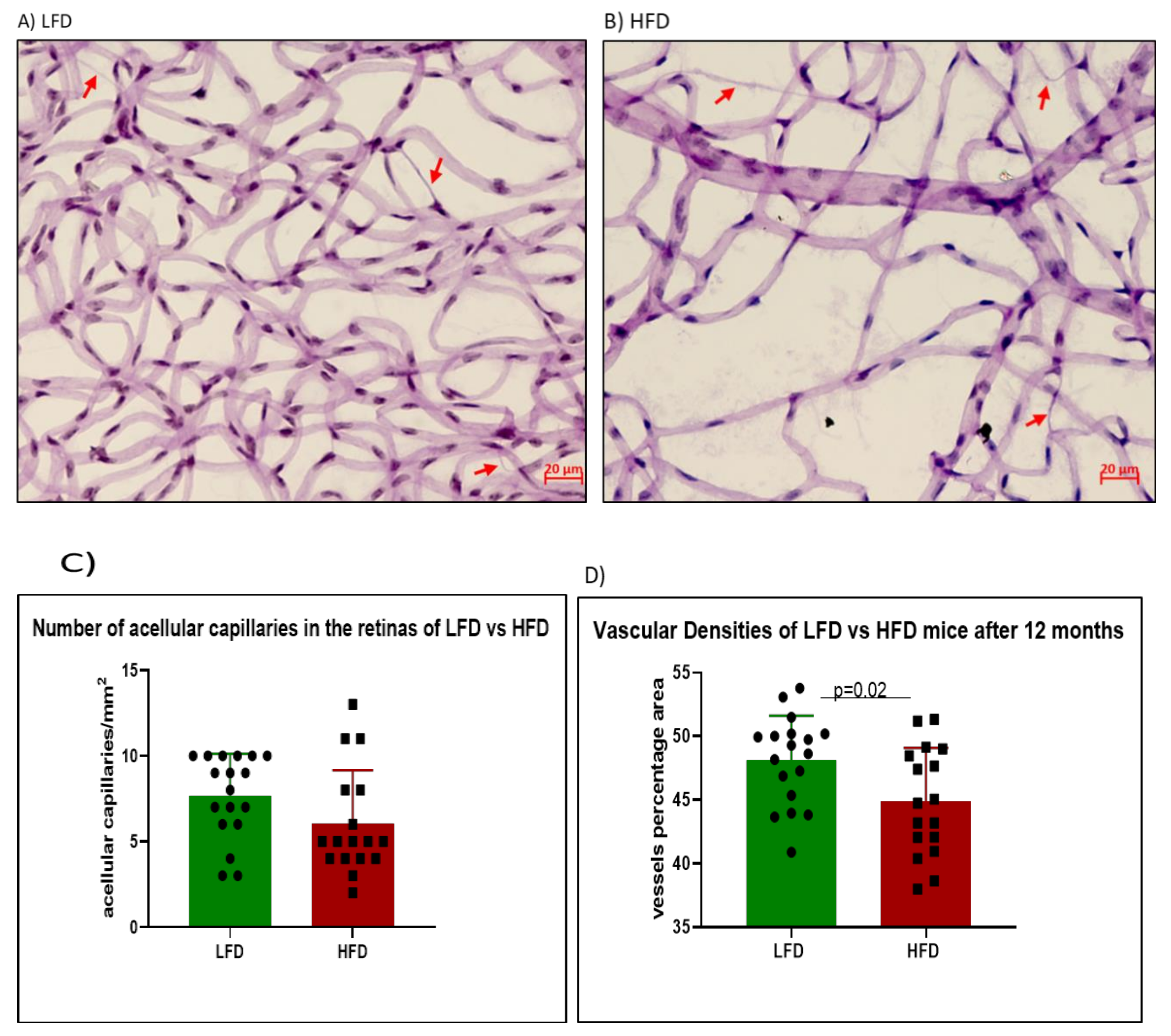 Cells 09 00464 g004 Cells 09 00464 g004