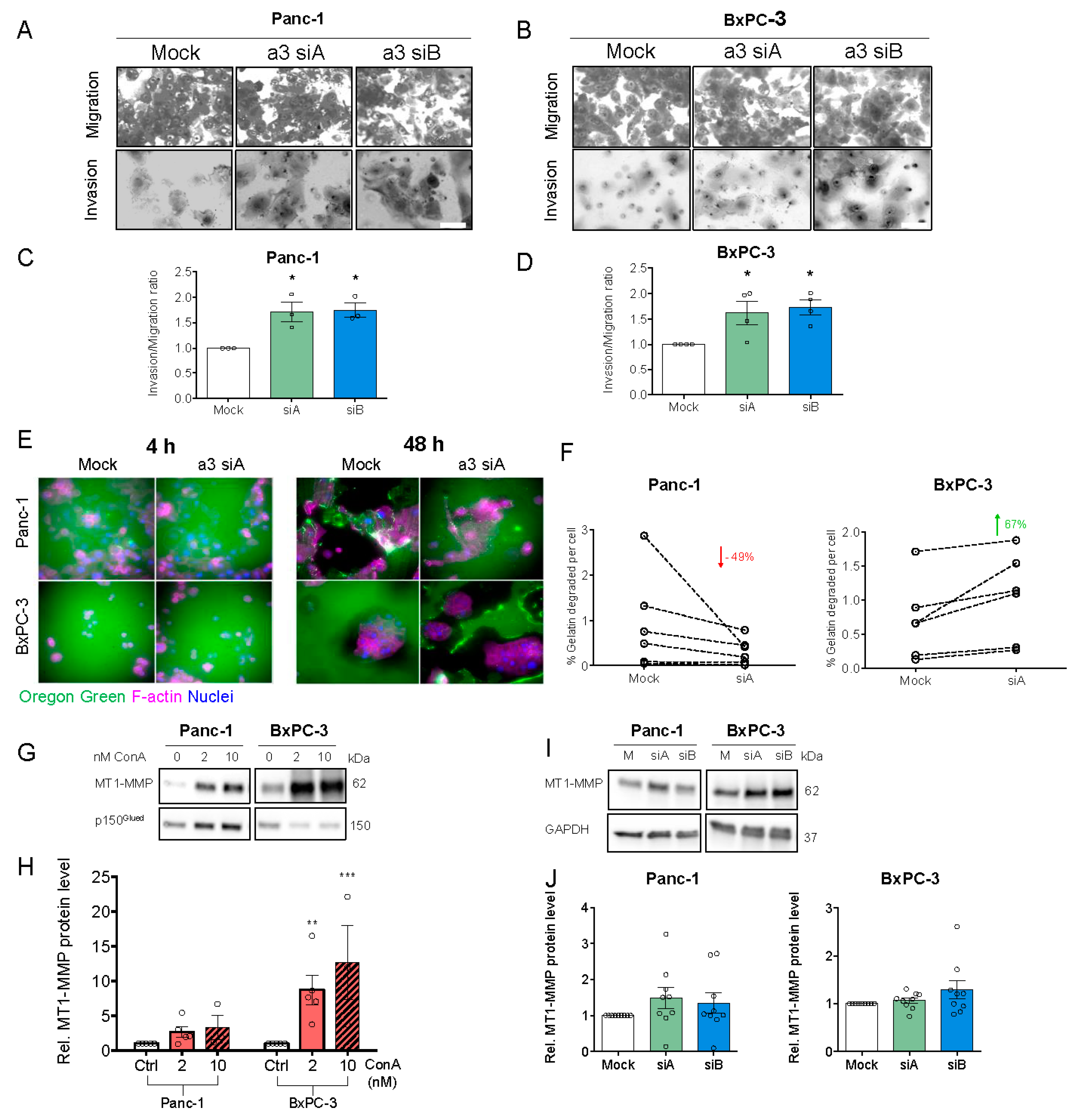 Cells 09 00465 g007 Cells 09 00465 g007