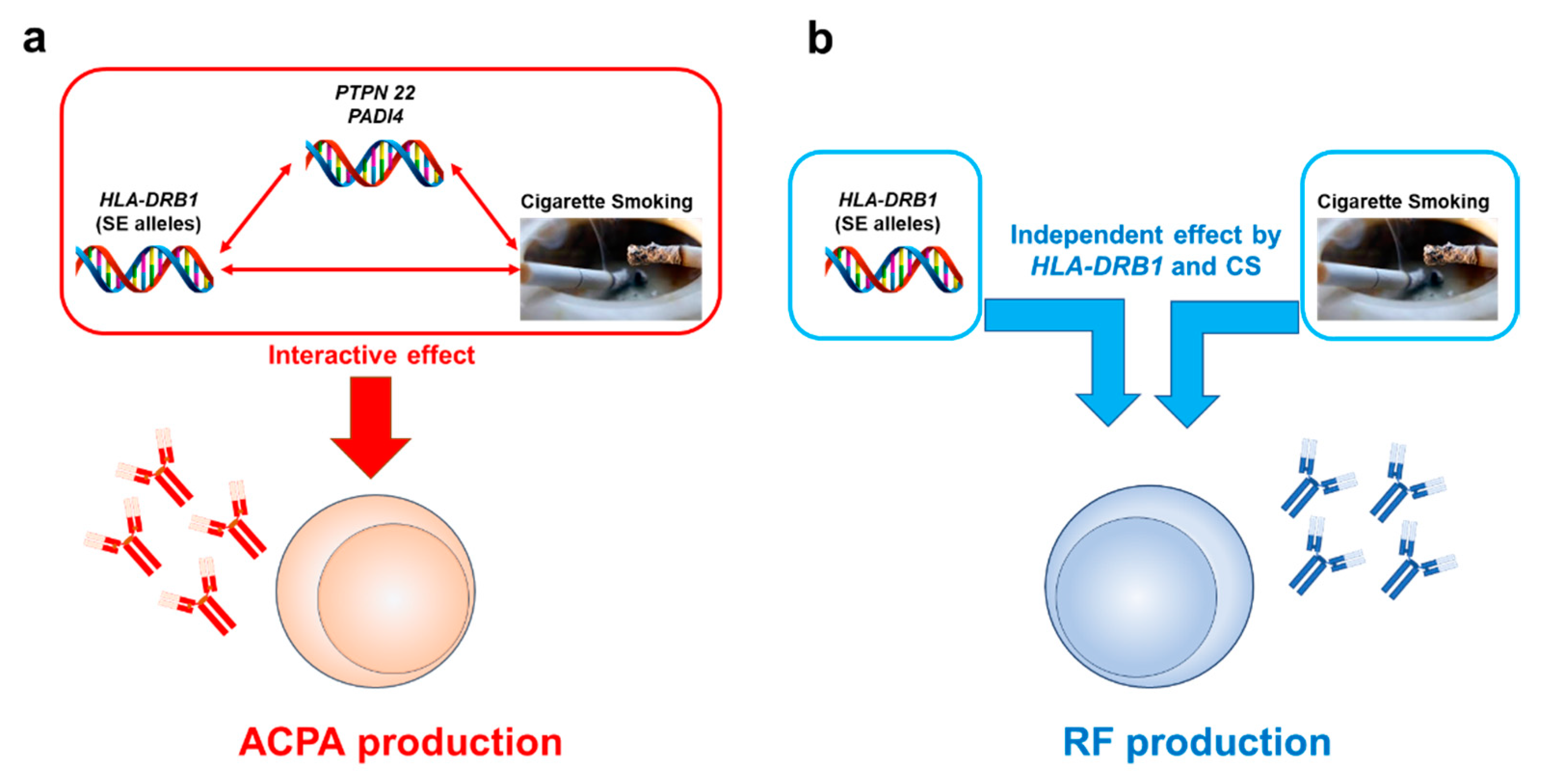 Genetics and inflammatory profile in tobacco dependence