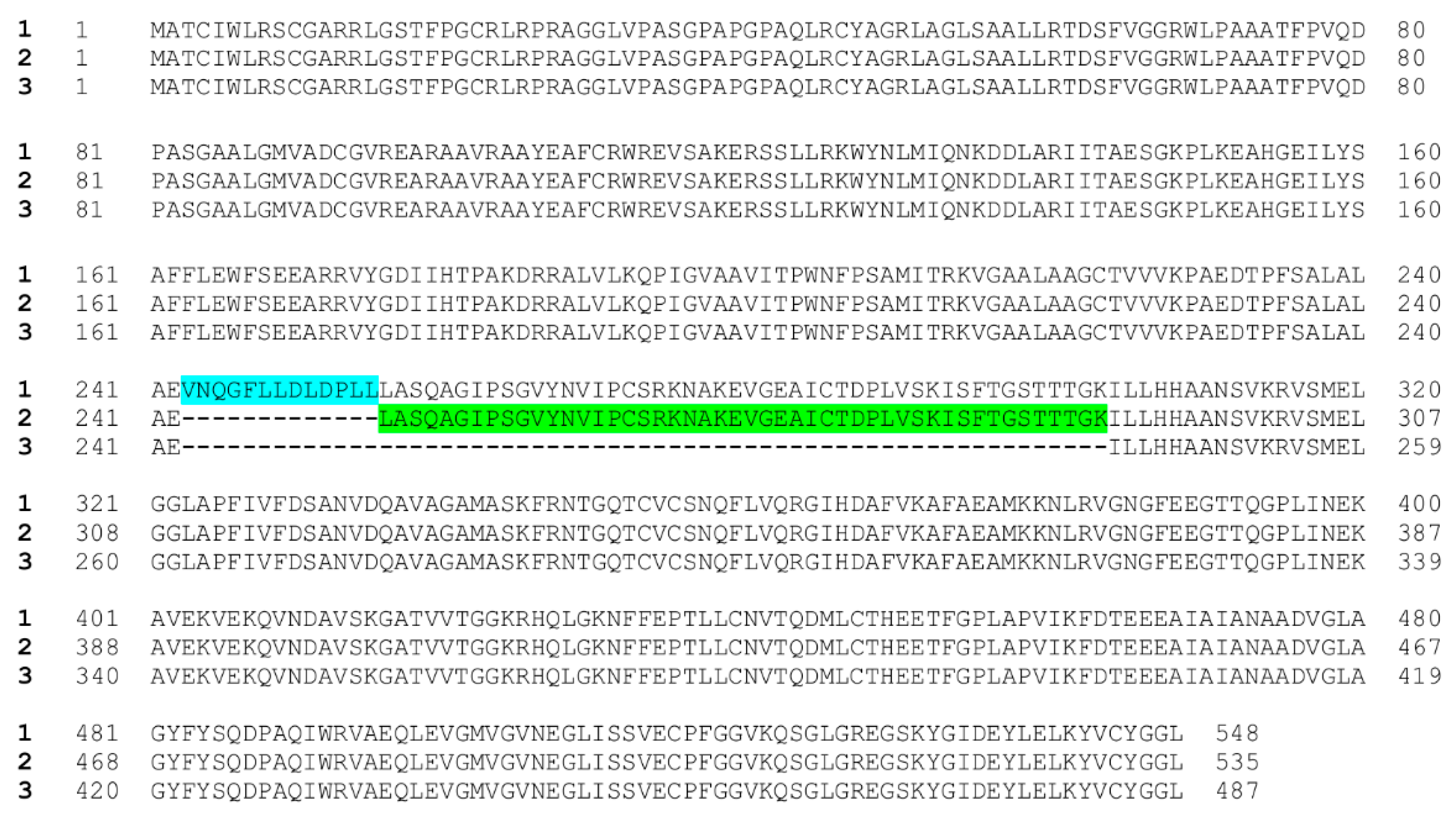 Cells 09 00477 g002 Cells 09 00477 g002