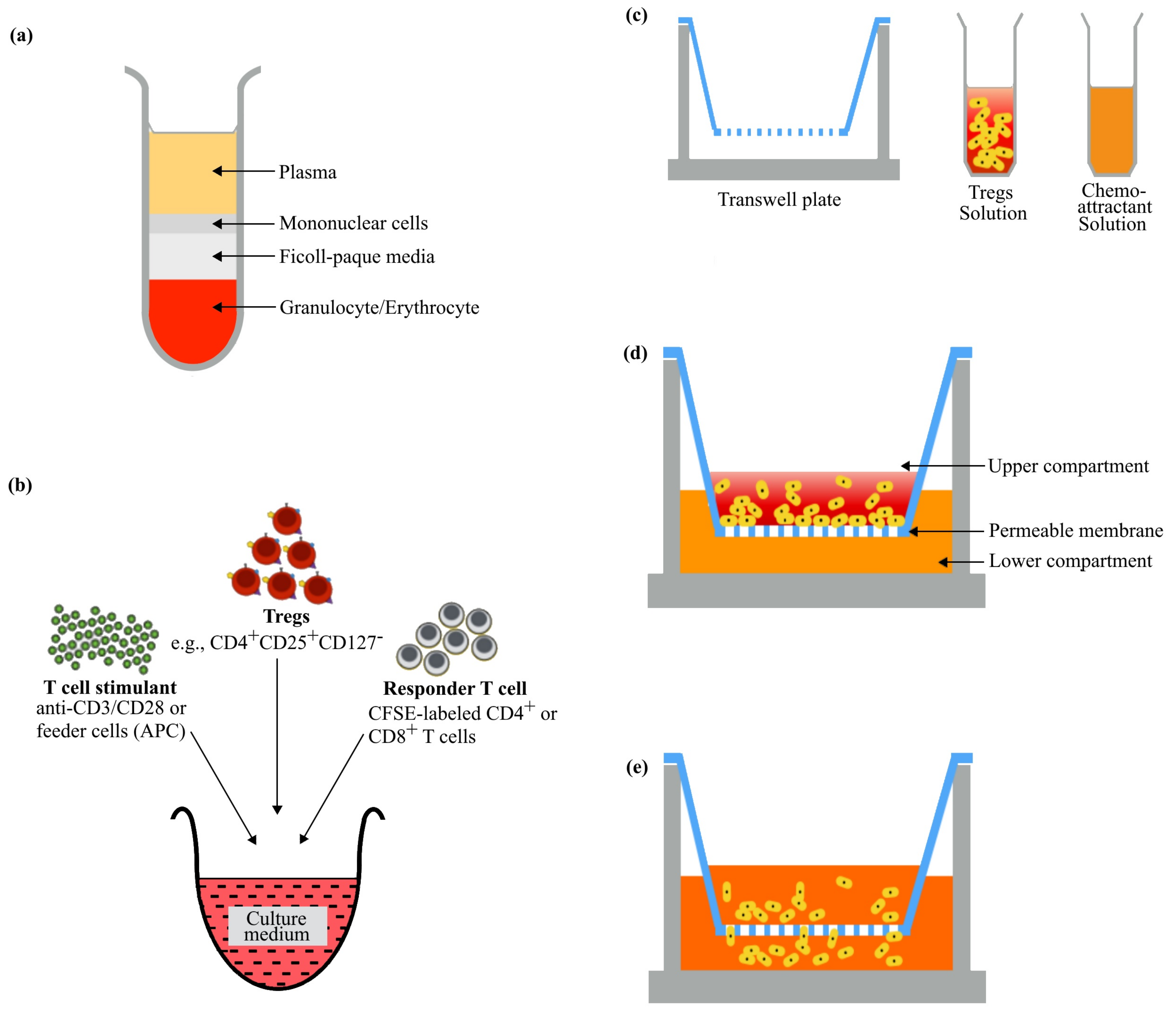 Cells 09 00487 g001 Cells 09 00487 g001