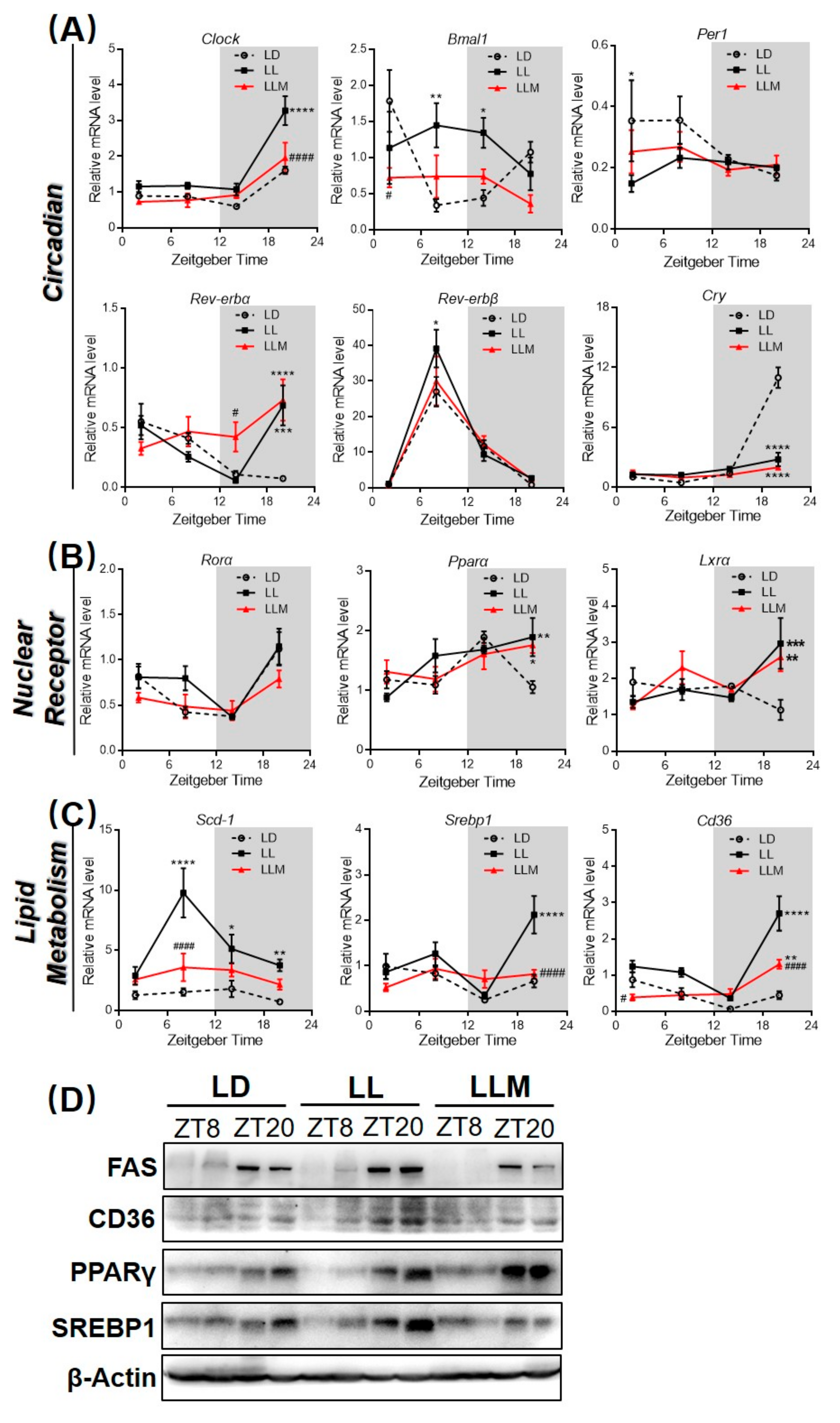 Cells 09 00489 g004 Cells 09 00489 g004