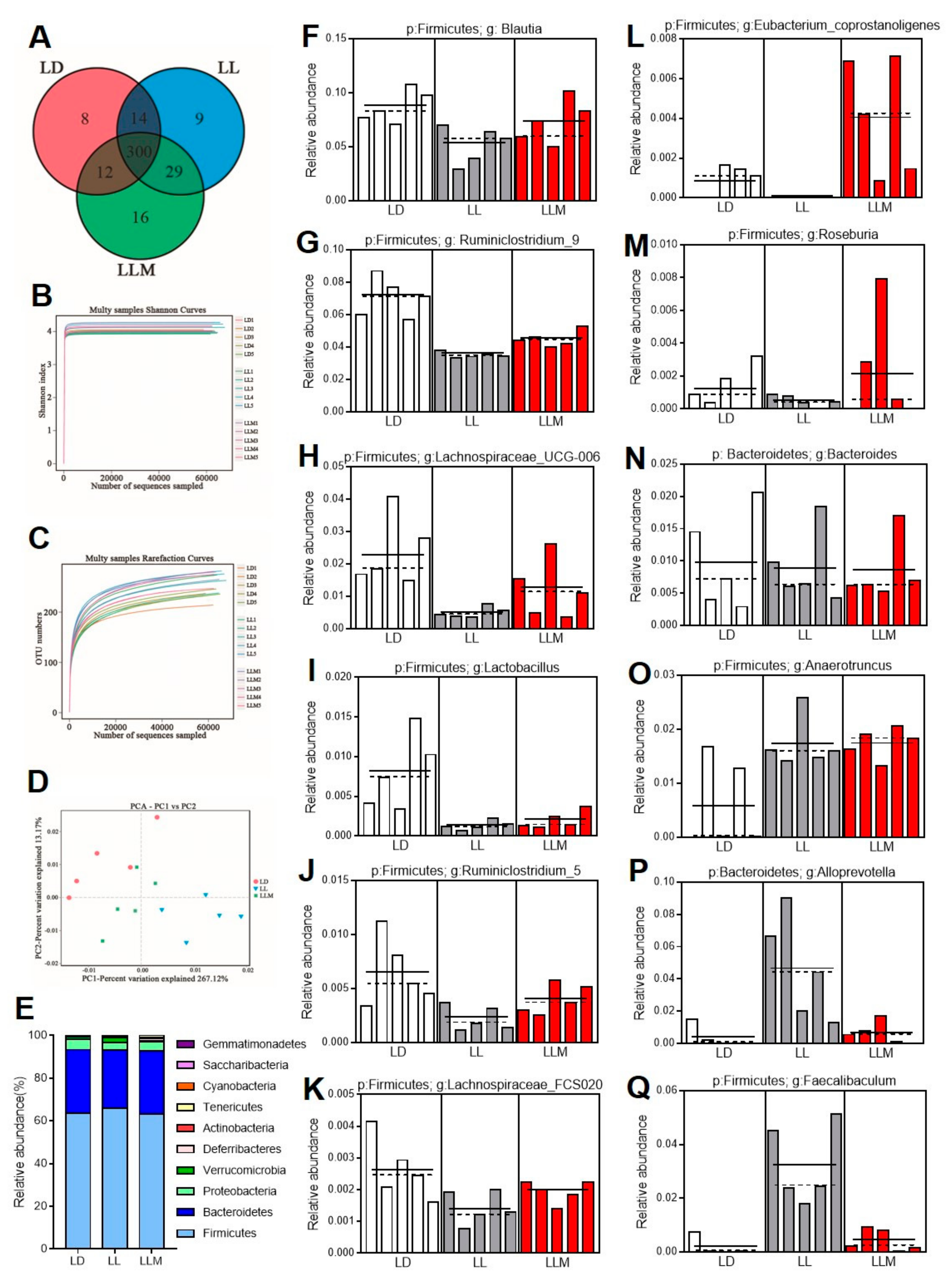 Cells 09 00489 g007 Cells 09 00489 g007