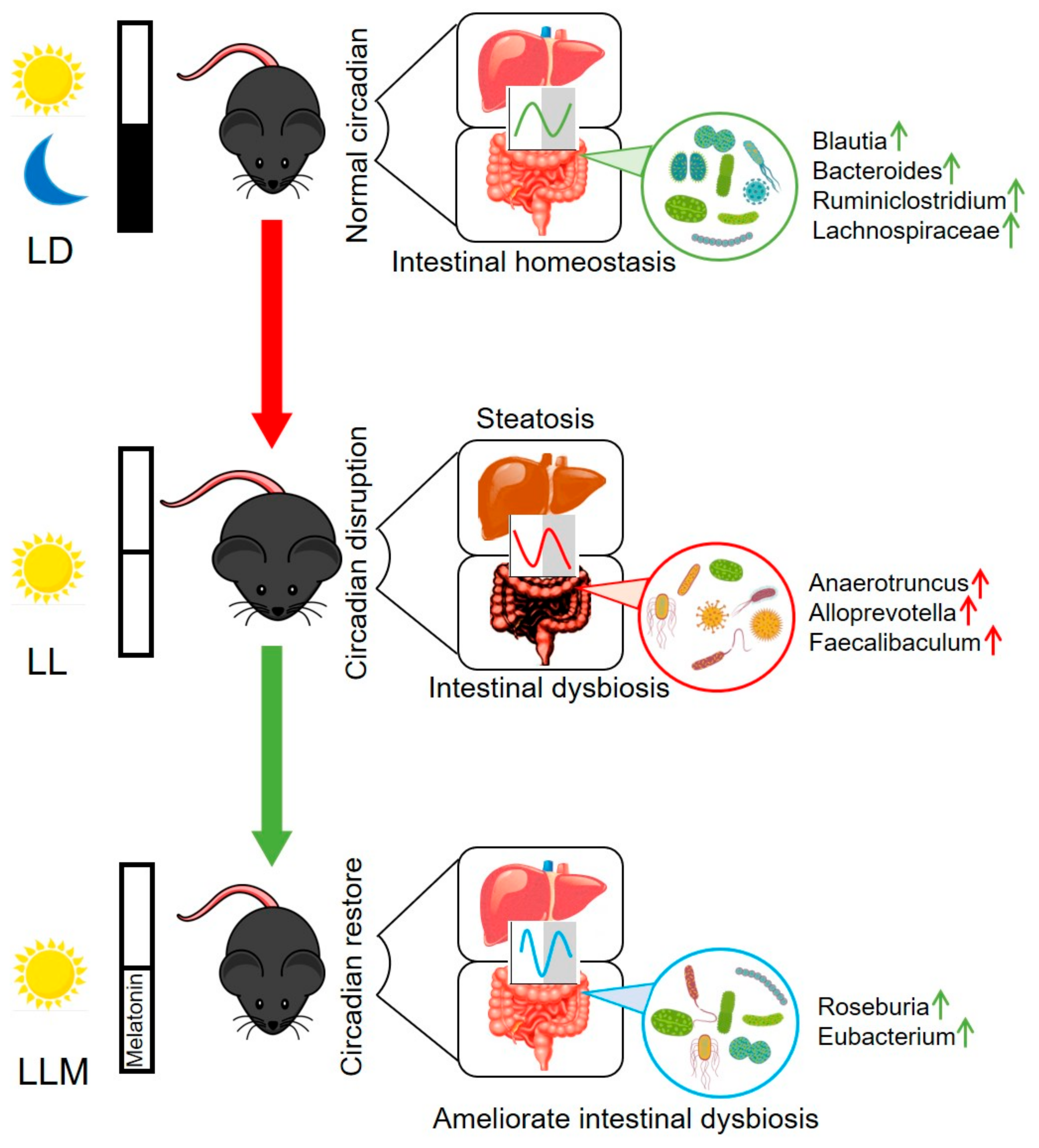 Cells 09 00489 g009 Cells 09 00489 g009