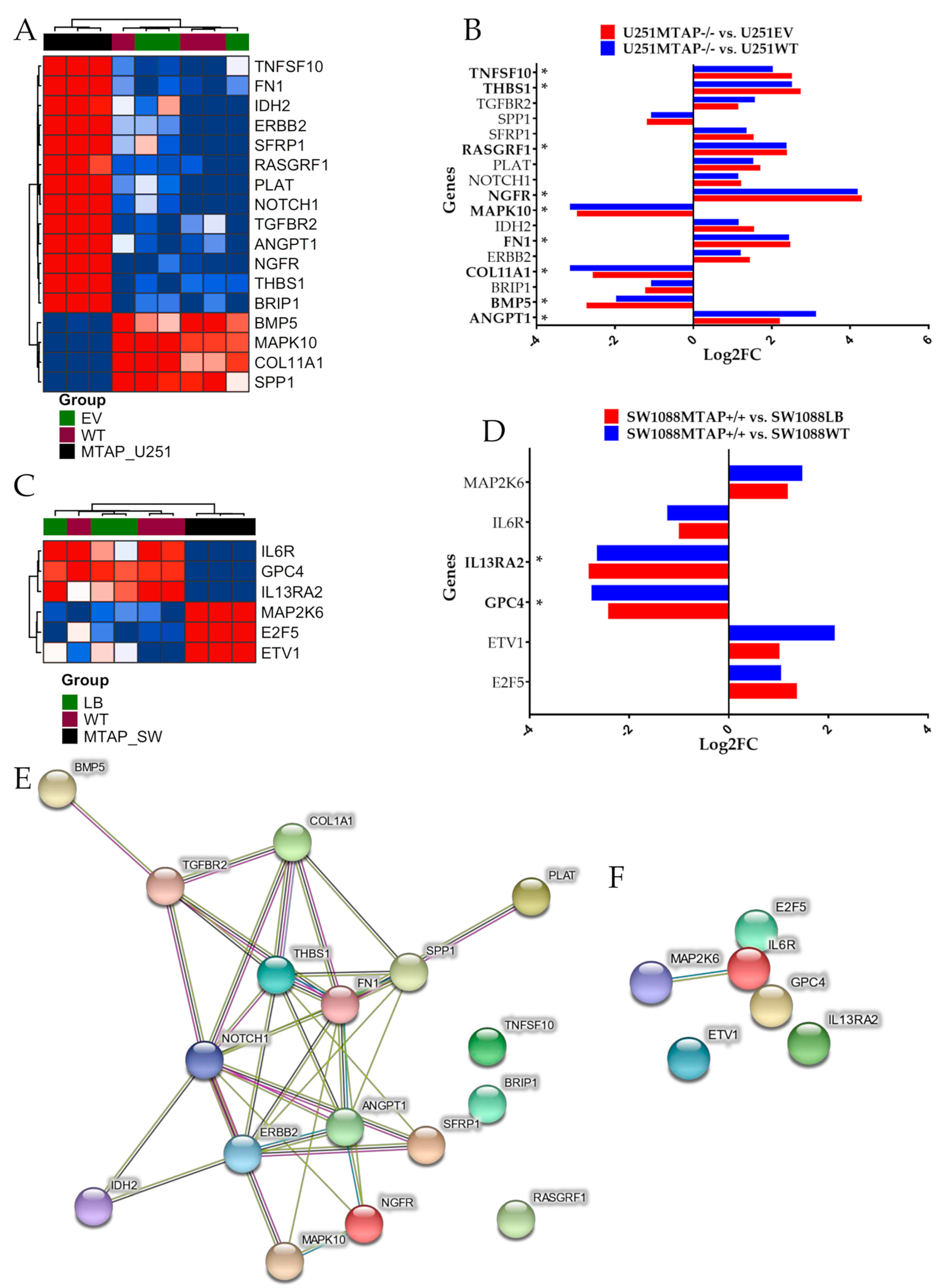 Cells | Free Full-Text | Loss of 5′-Methylthioadenosine Phosphorylase
