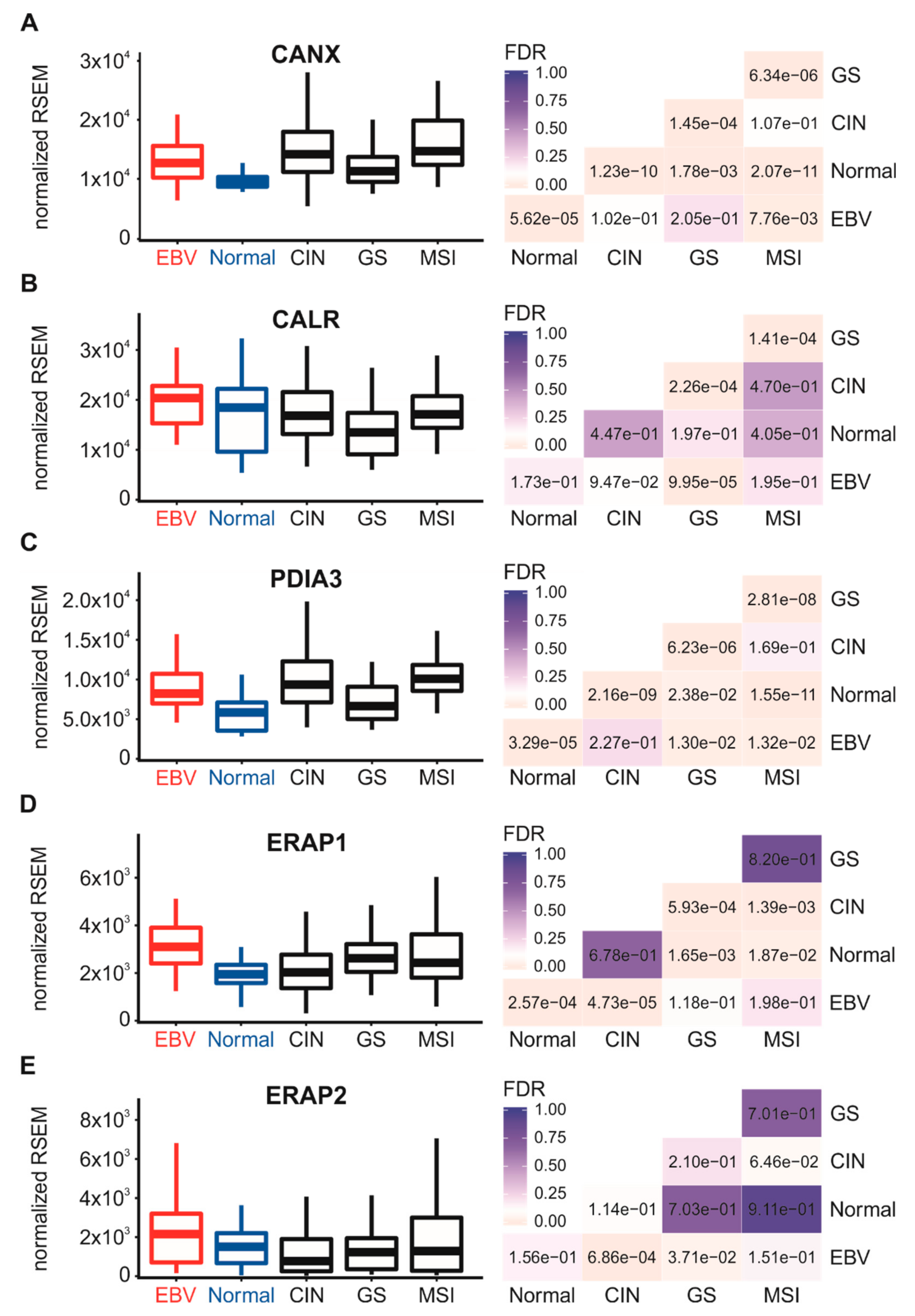 Cells 09 00499 g004 Cells 09 00499 g004