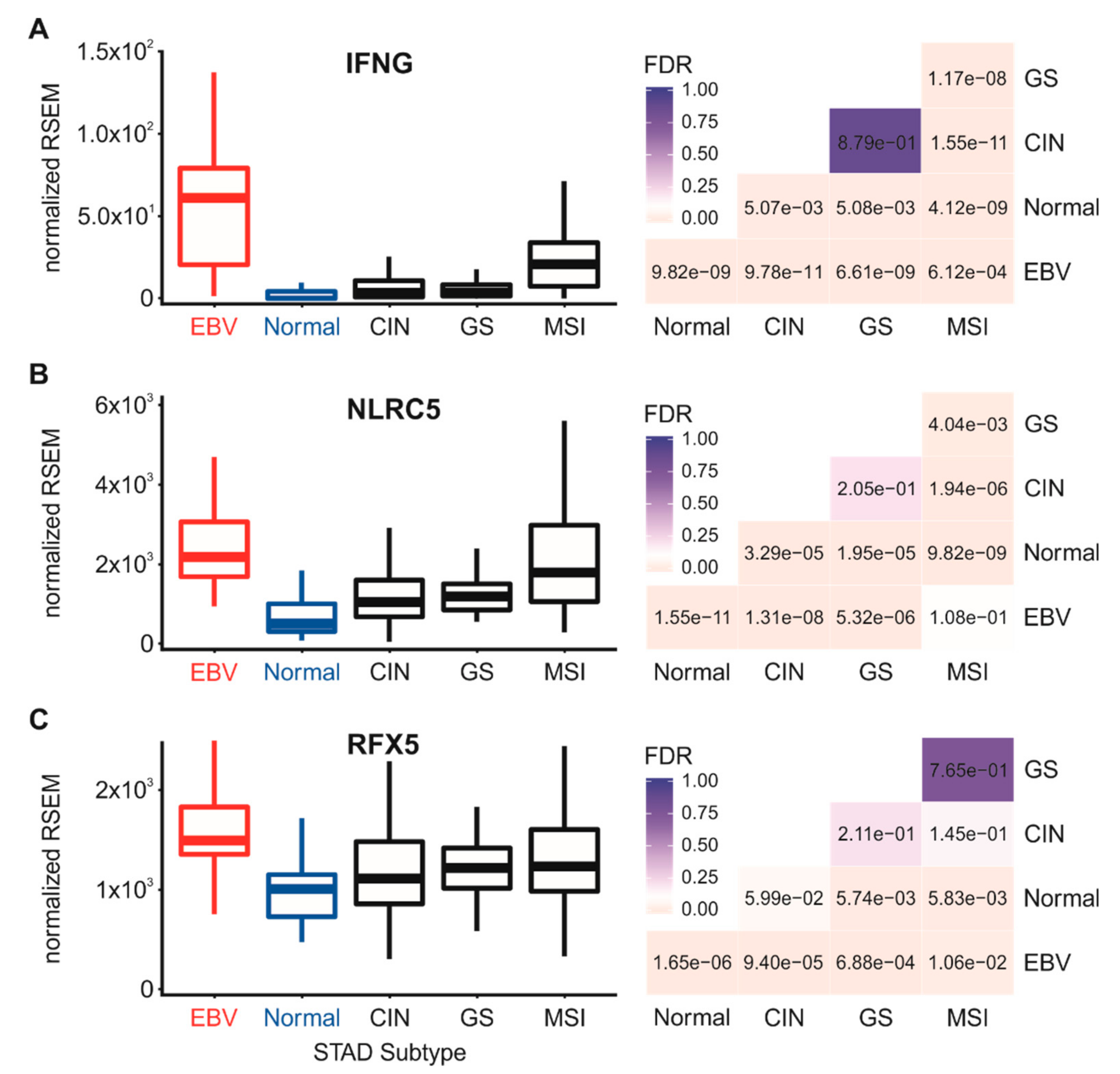 Cells 09 00499 g006 Cells 09 00499 g006