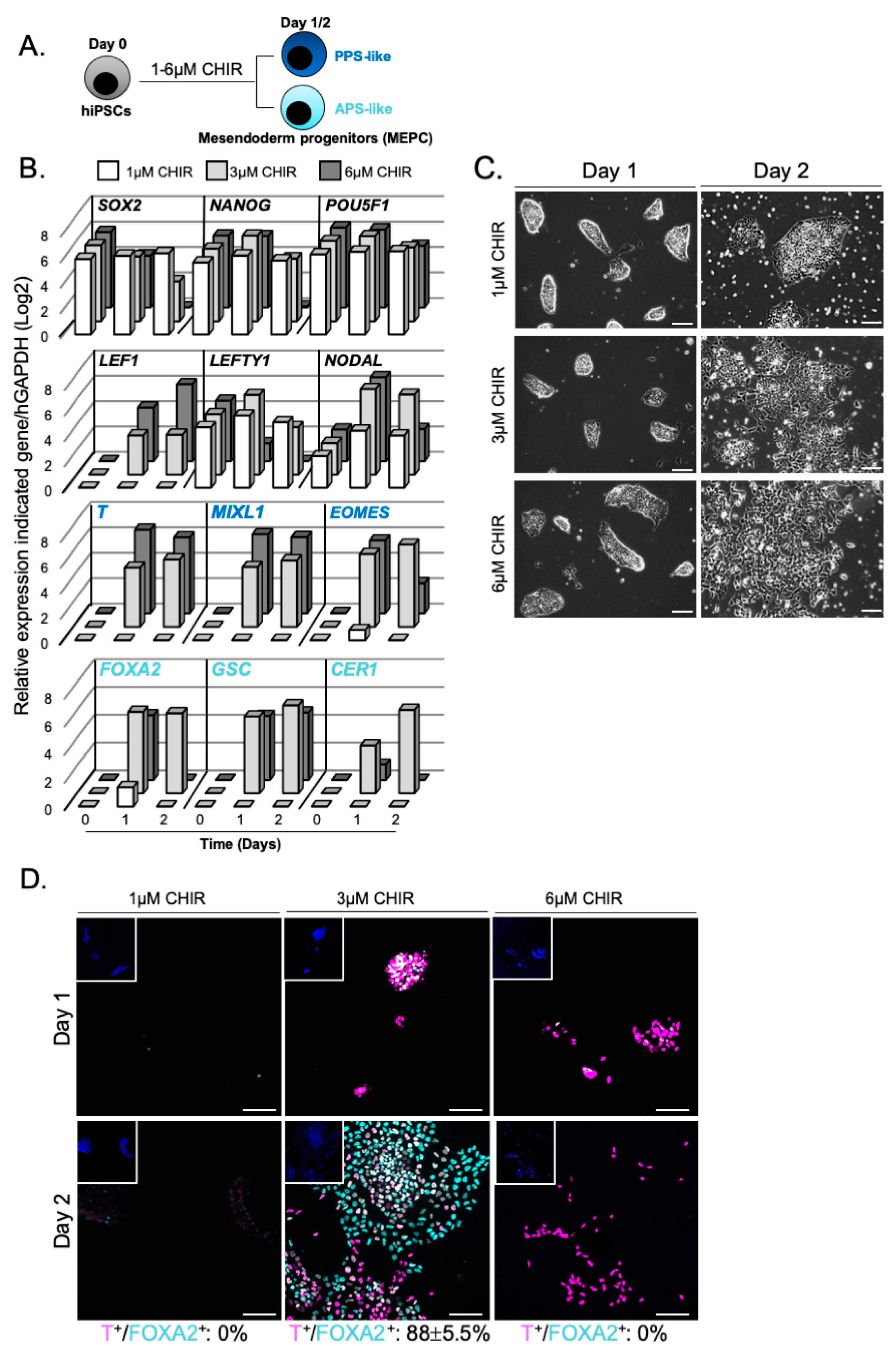 Cells 09 00509 g002 Cells 09 00509 g002