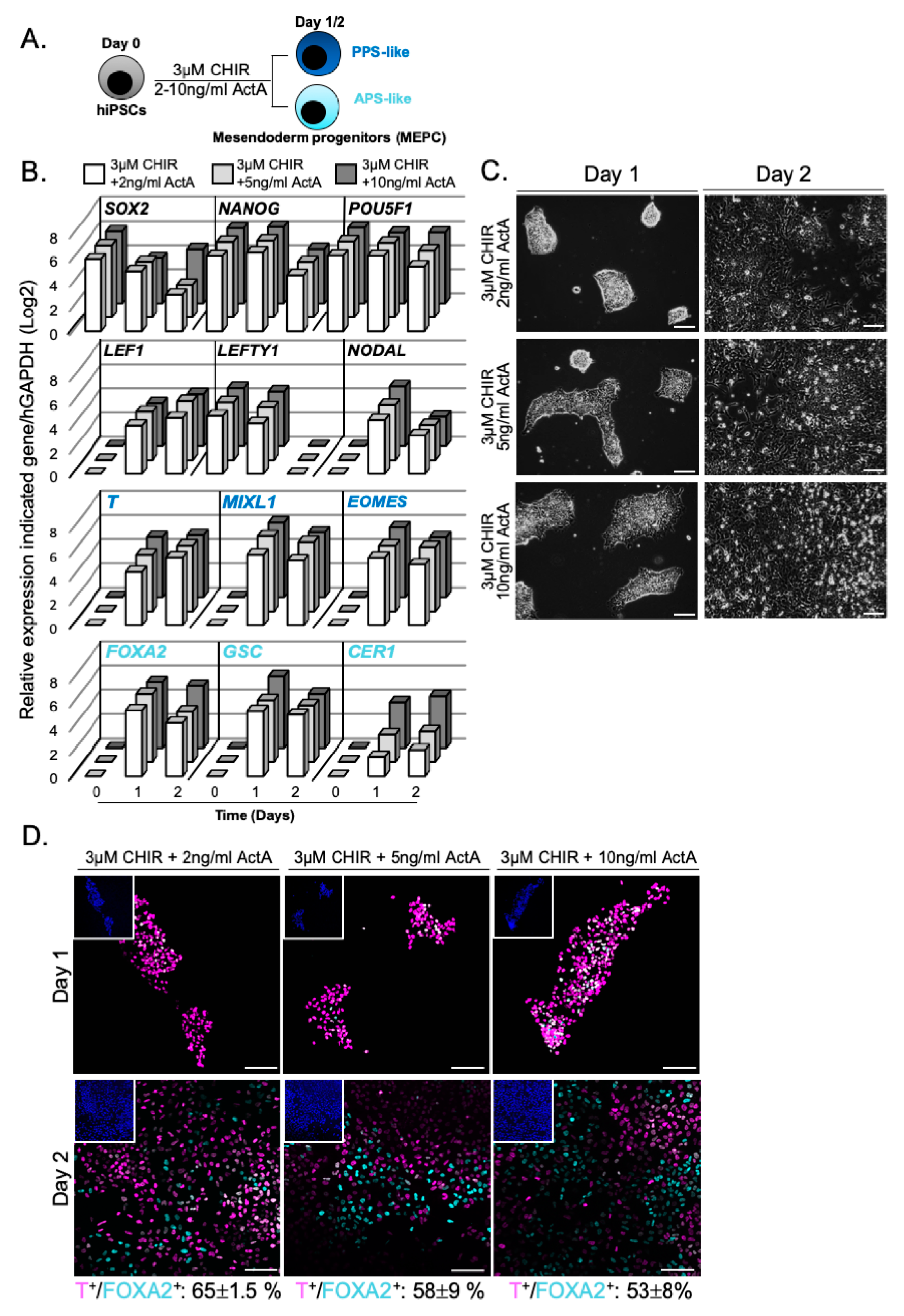 Cells 09 00509 g003 Cells 09 00509 g003