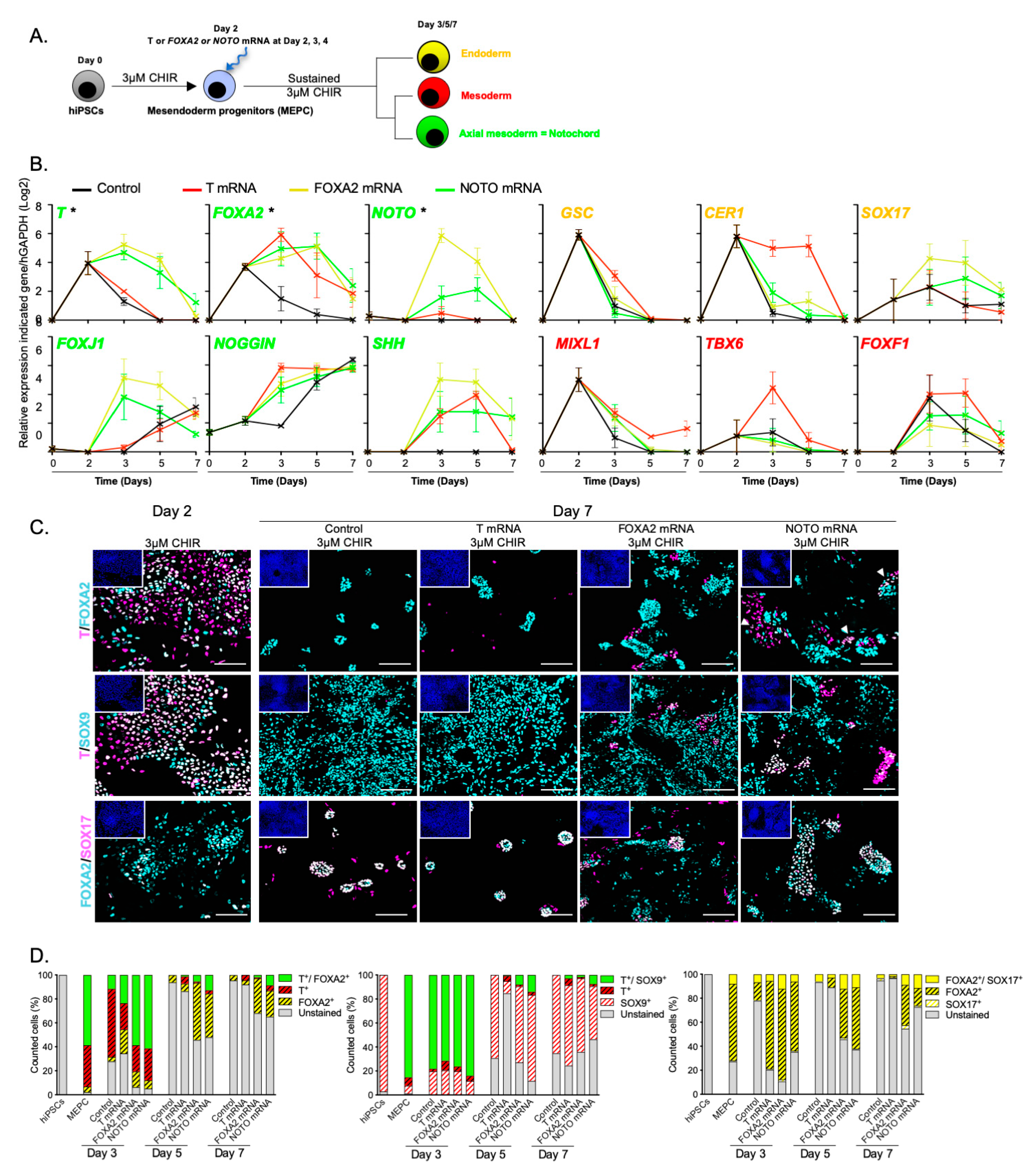 Cells 09 00509 g005 Cells 09 00509 g005