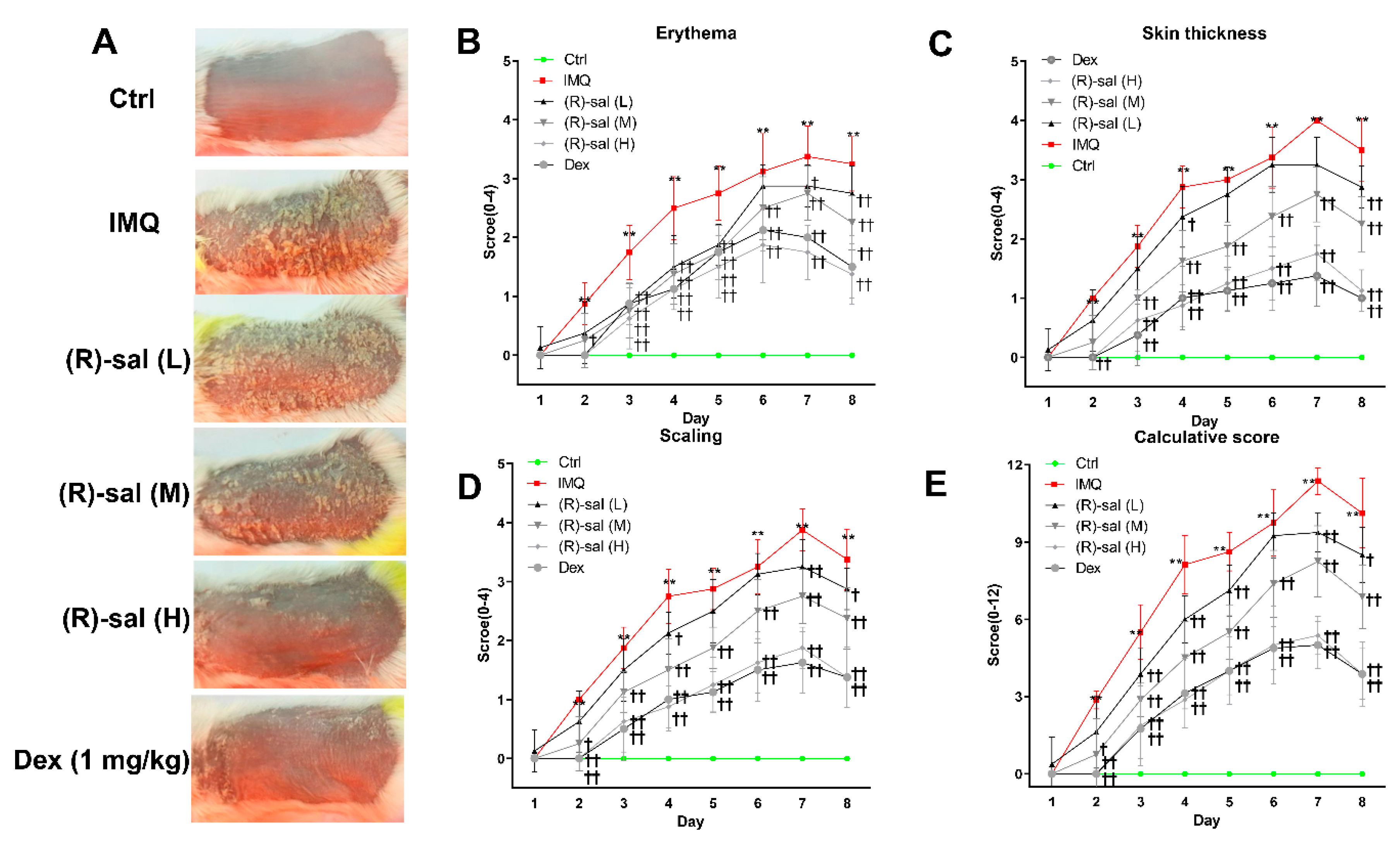 Cells 09 00511 g002 Cells 09 00511 g002